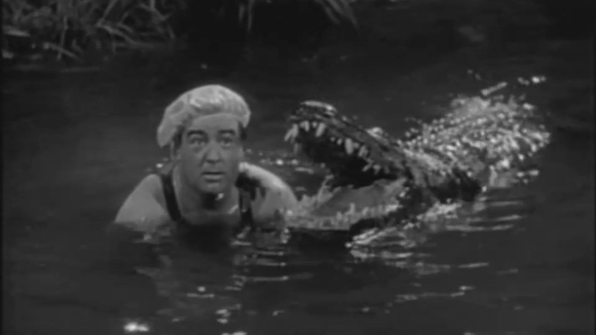 Foto do filme O Grito da África