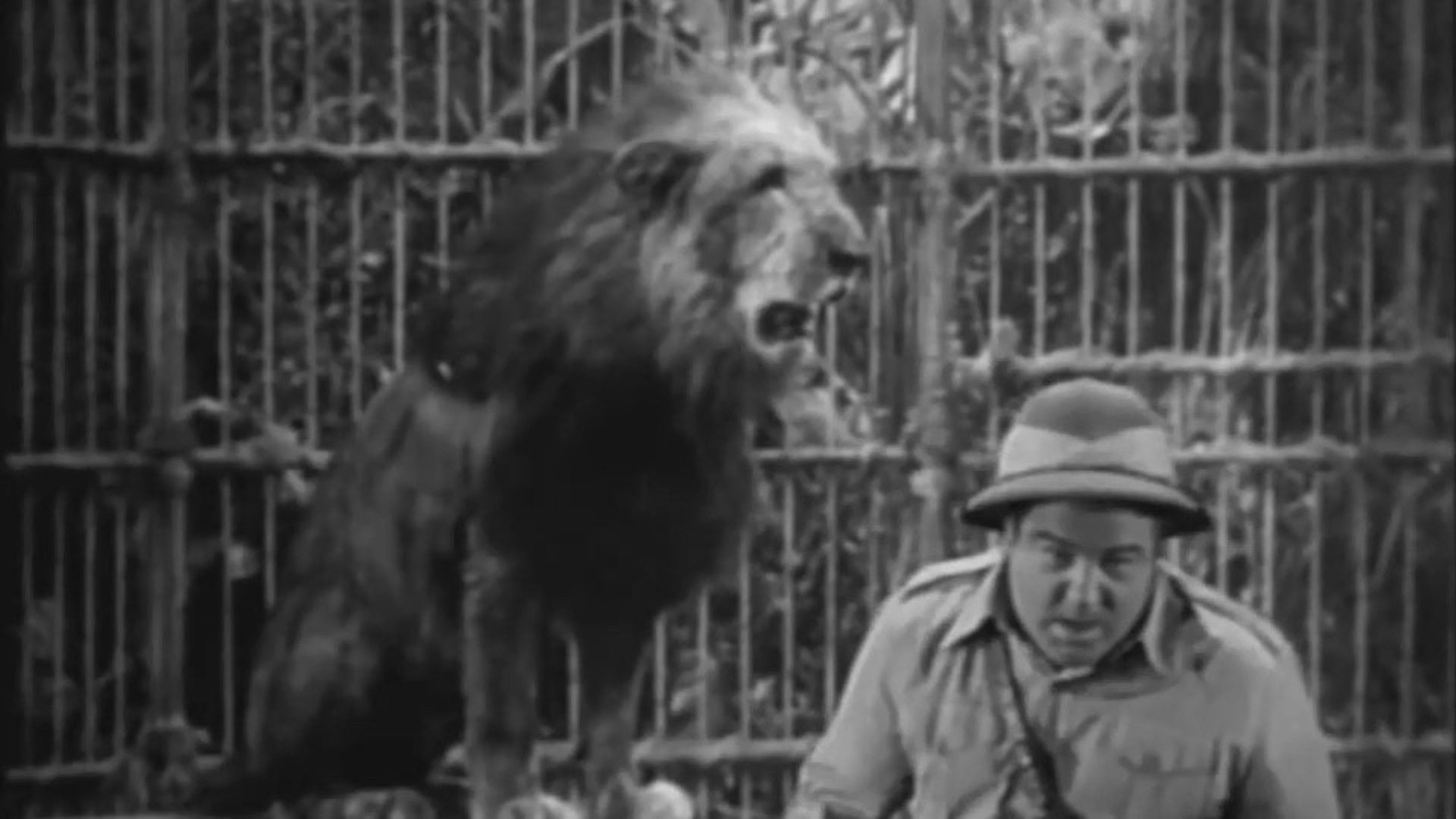 Foto do filme O Grito da África