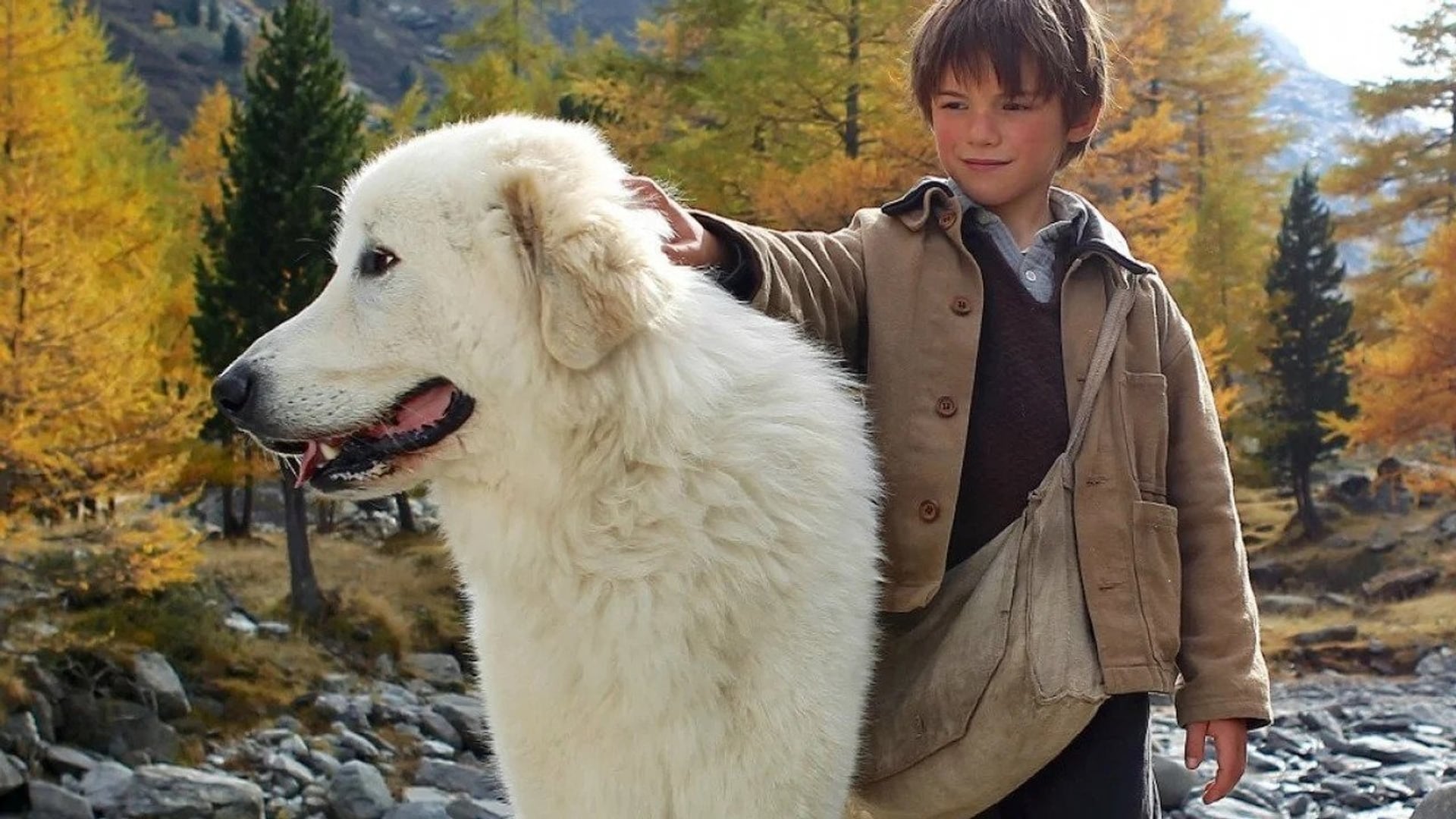 Foto do filme Belle e Sebástian