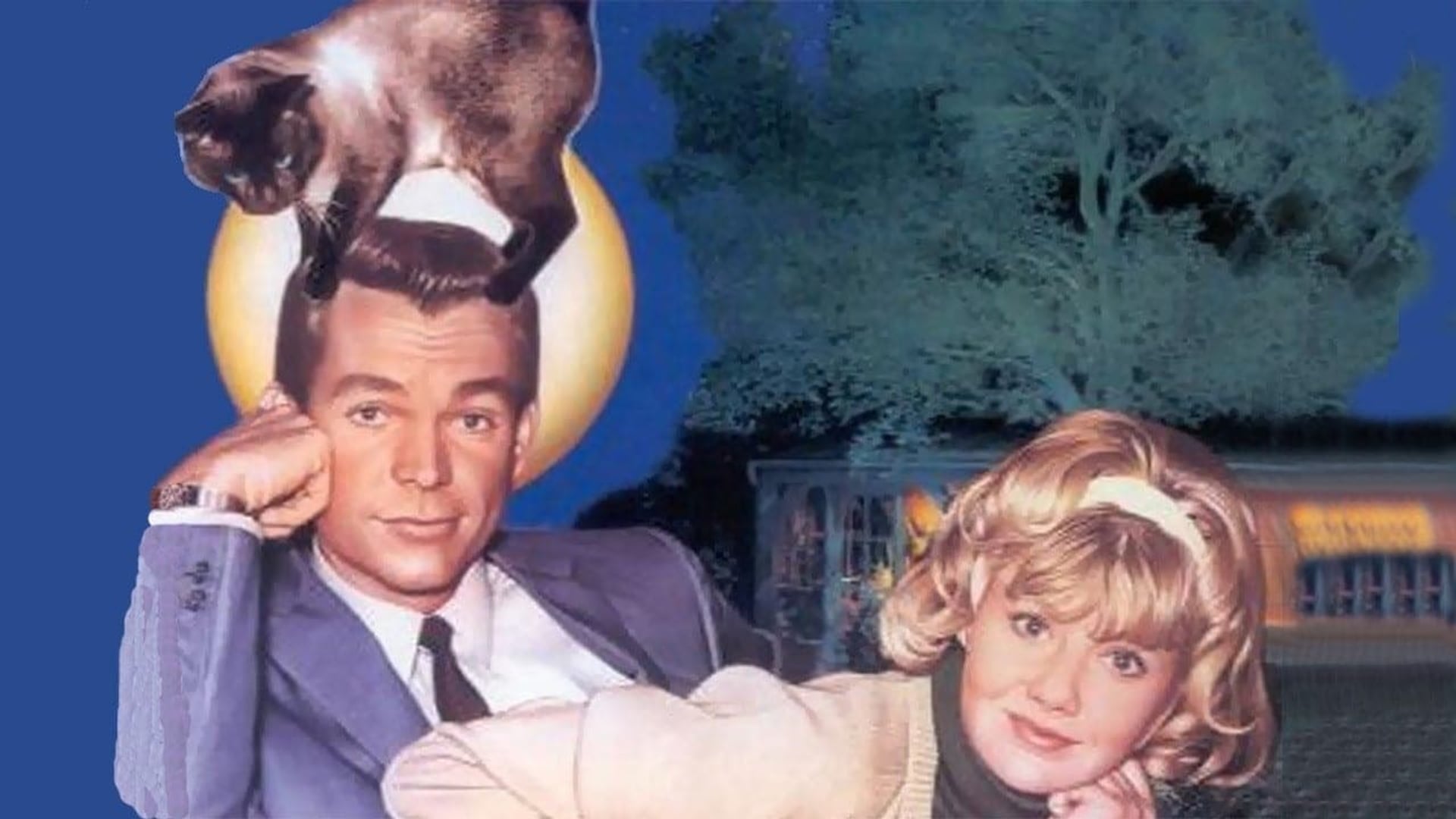 Foto do filme Aquele Gato Danado