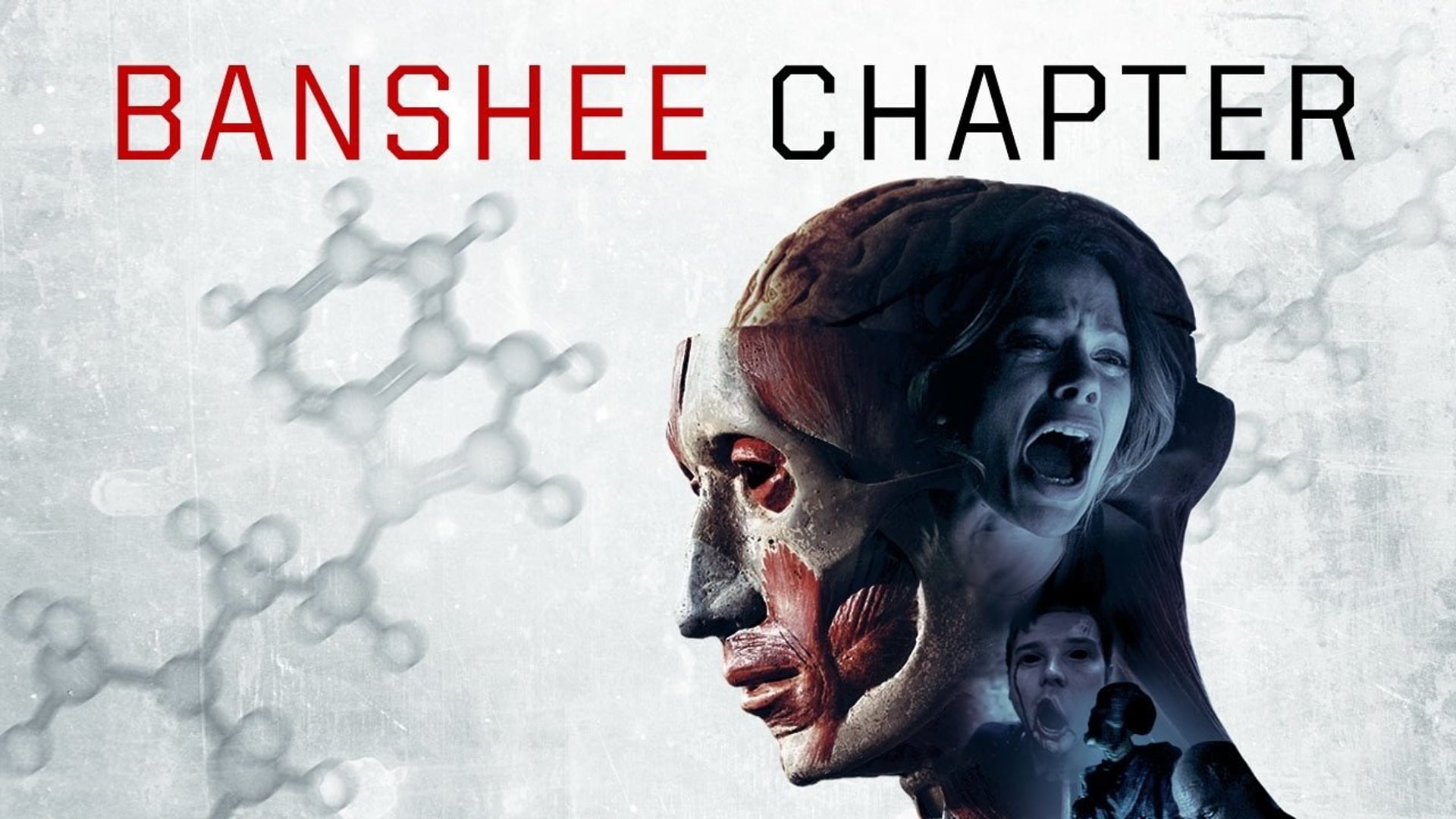Foto do filme Banshee Chapter