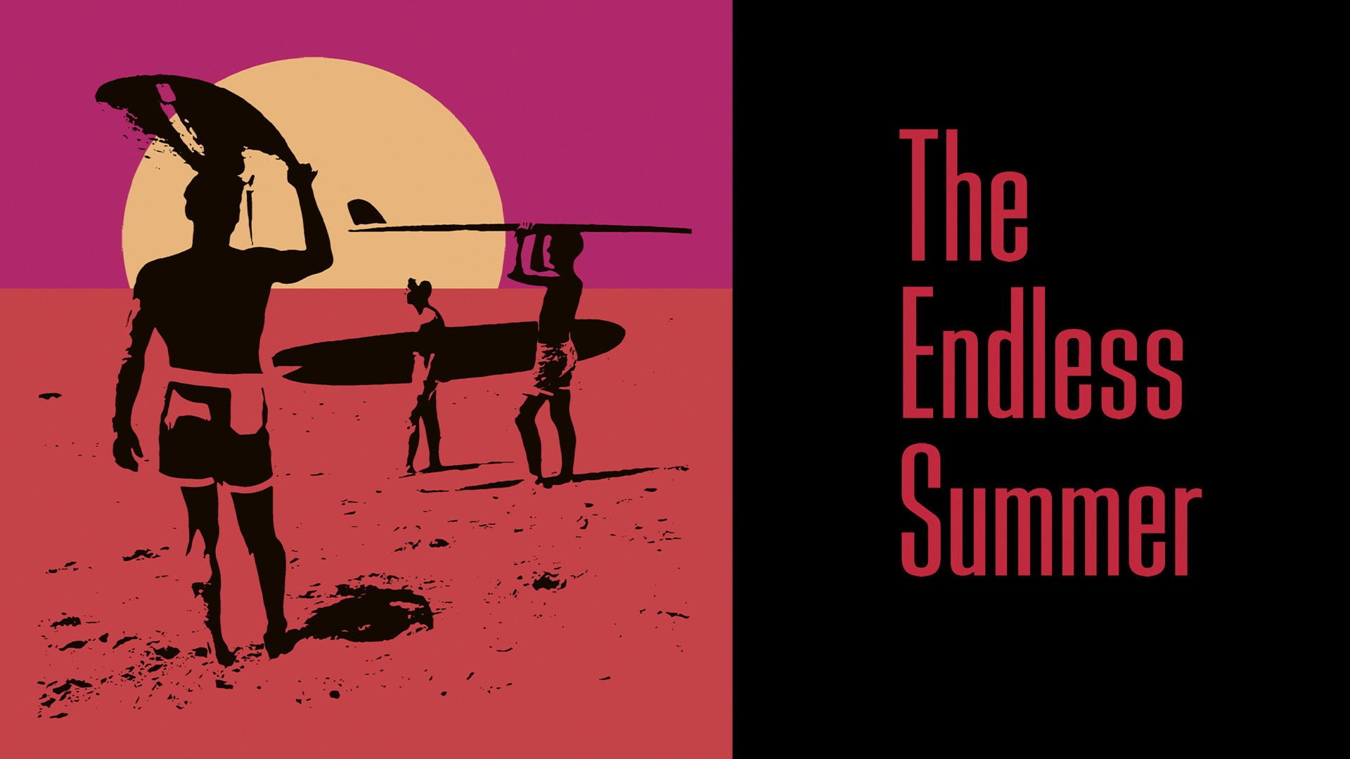 Foto do filme The Endless Summer