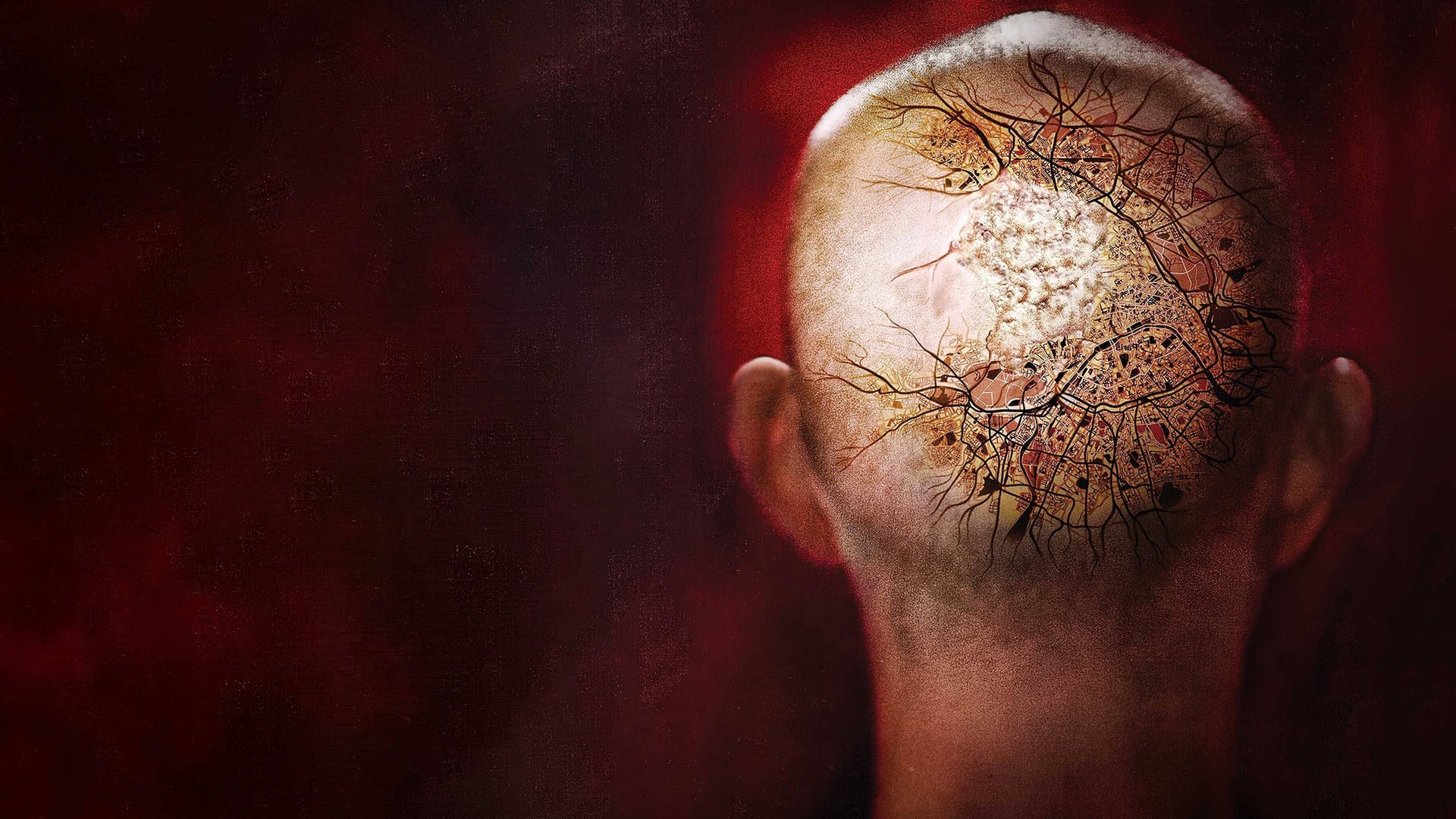 Foto do filme Infectado