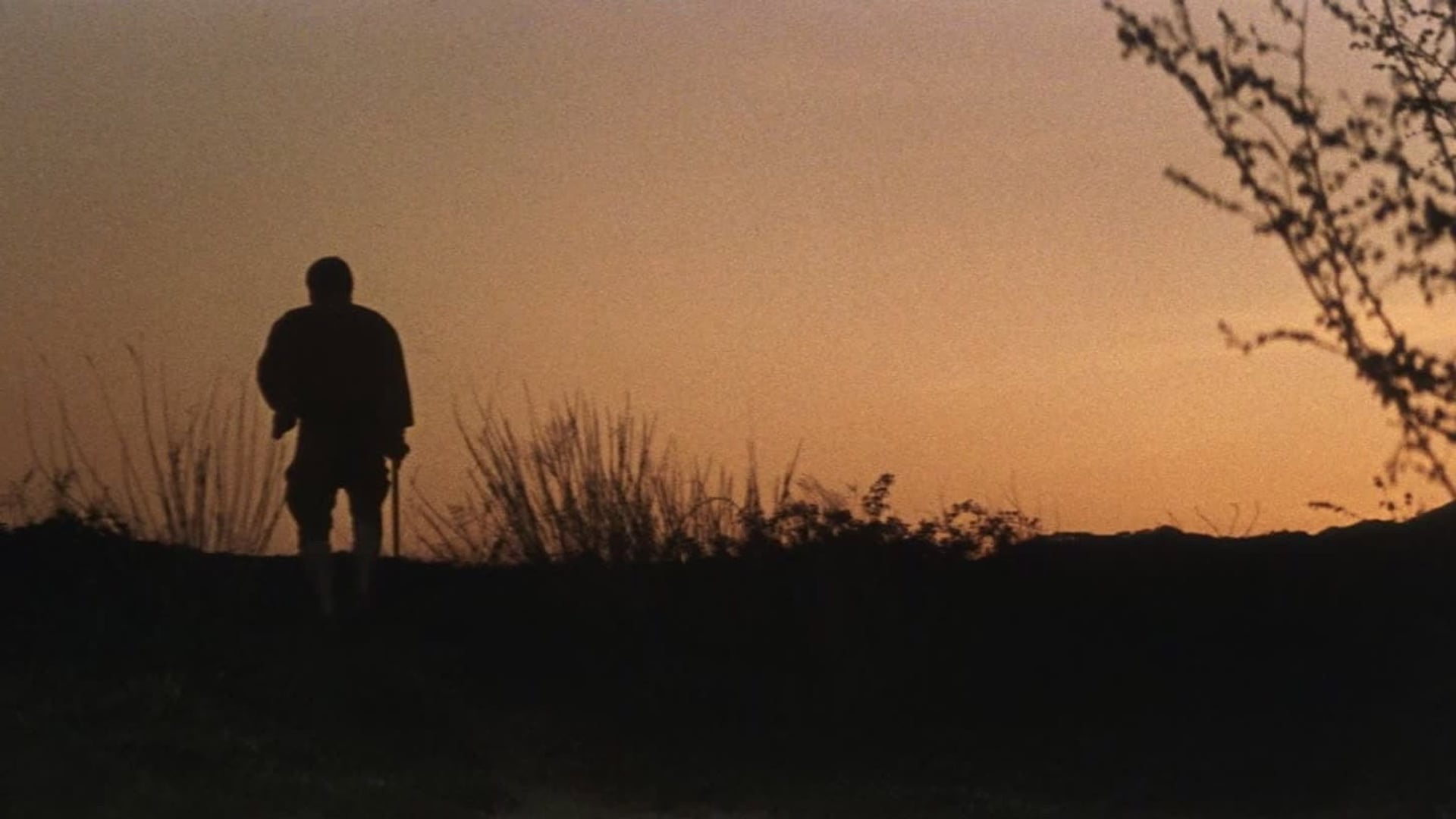 Foto do filme Zatoichi se Vinga