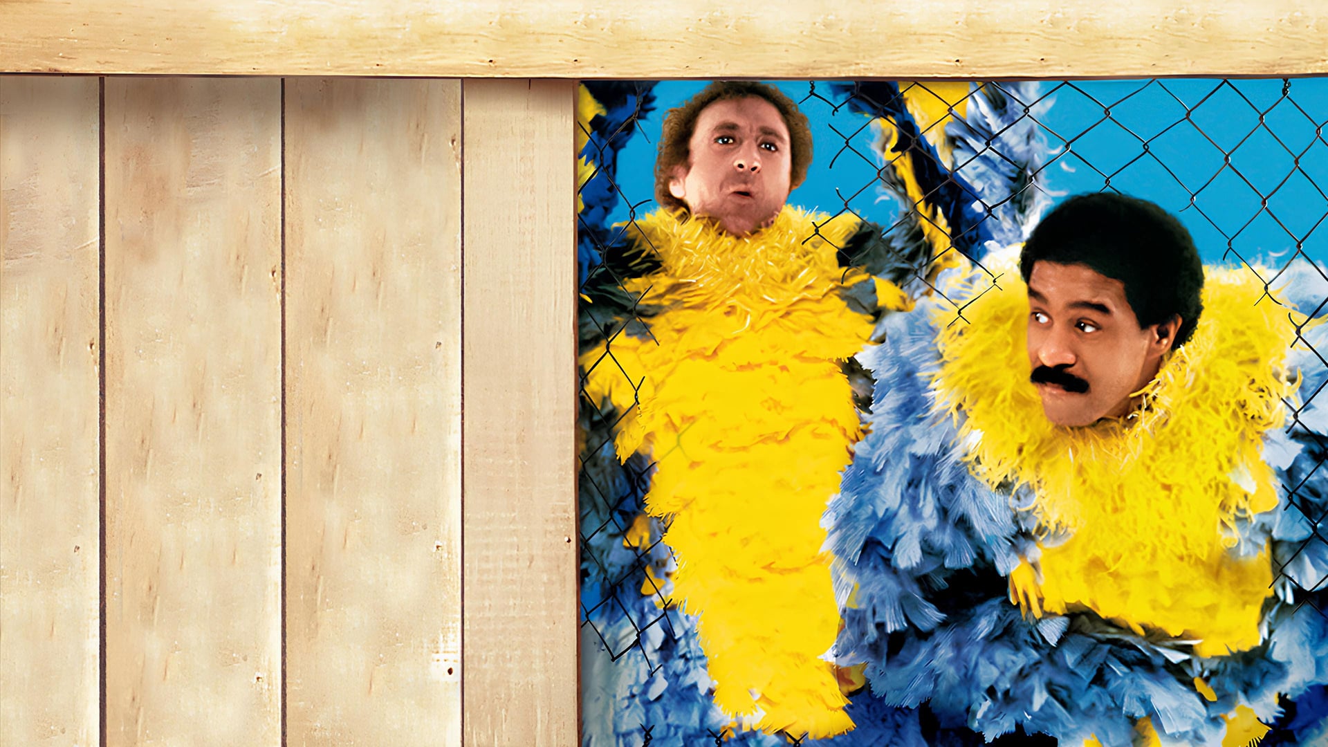 Foto do filme Loucos de Dar Nó