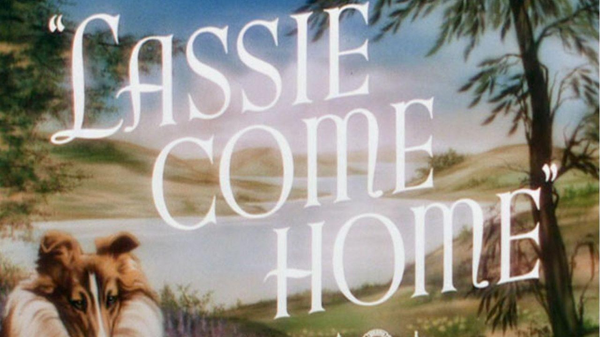 Foto do filme Lassie: A Força do Coração