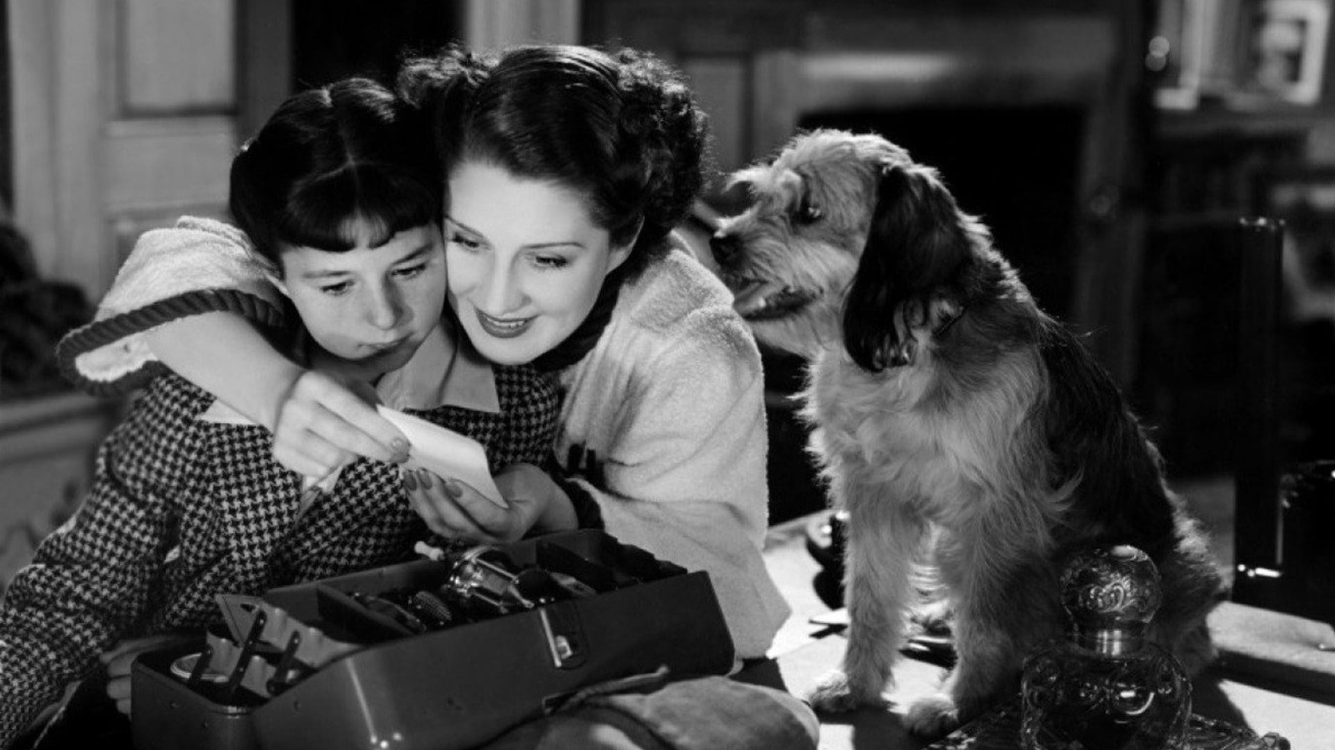 Foto do filme As Mulheres