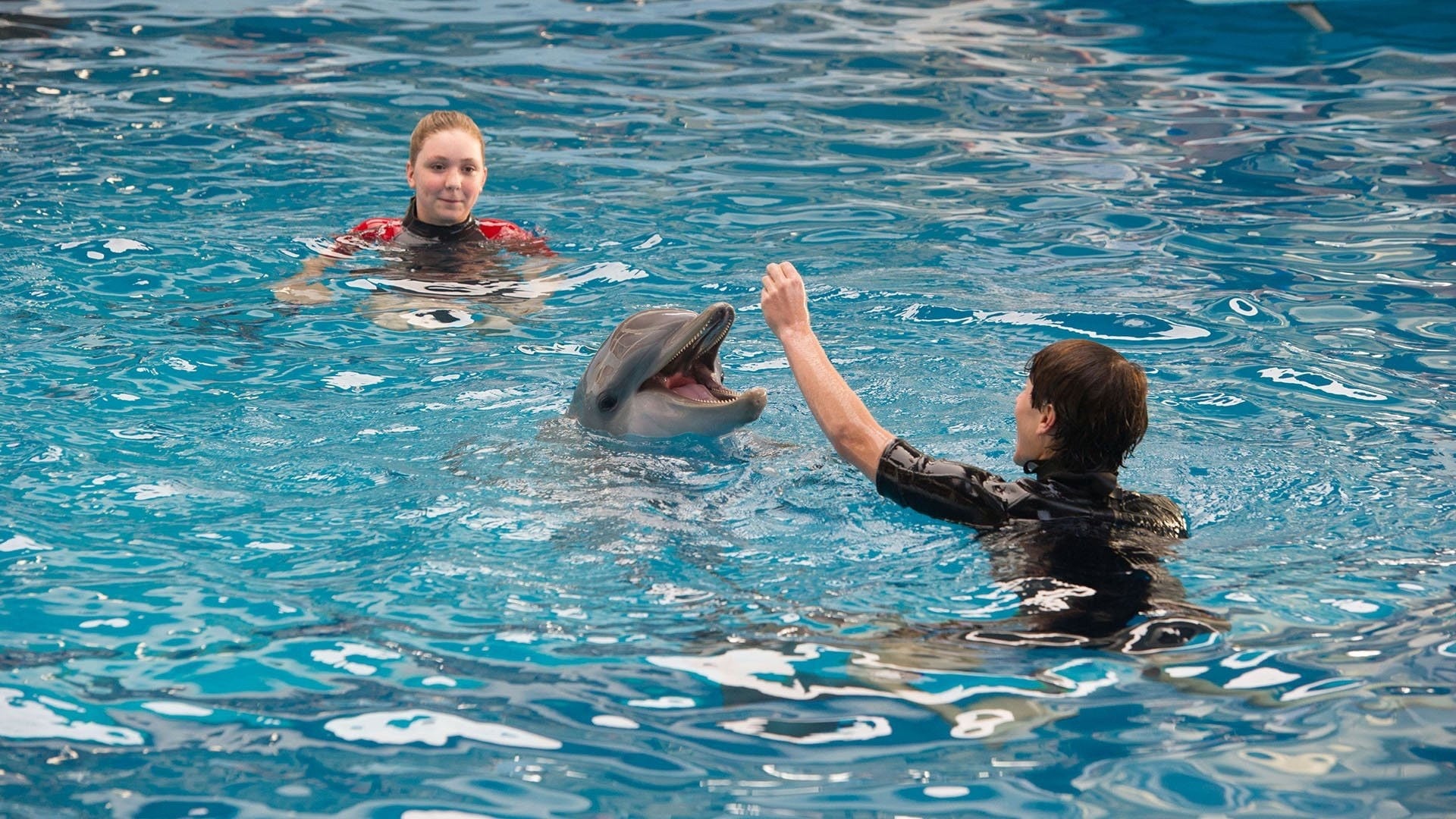 Foto do filme Winter, o Golfinho 2