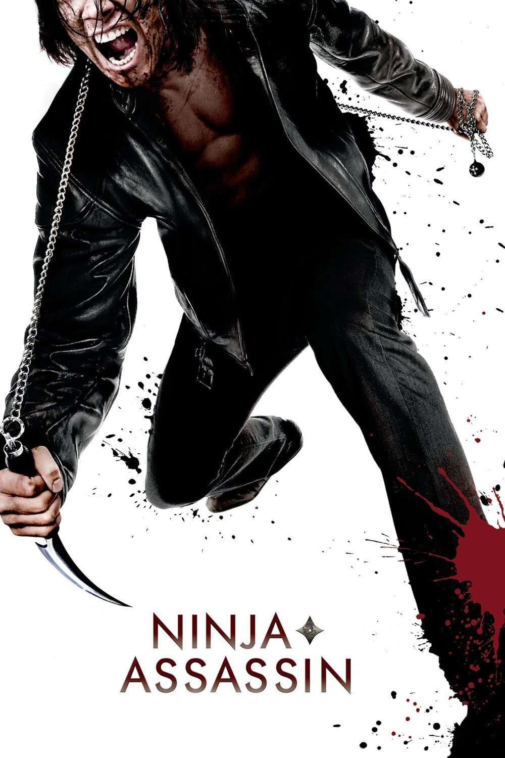 Ninja Assassino