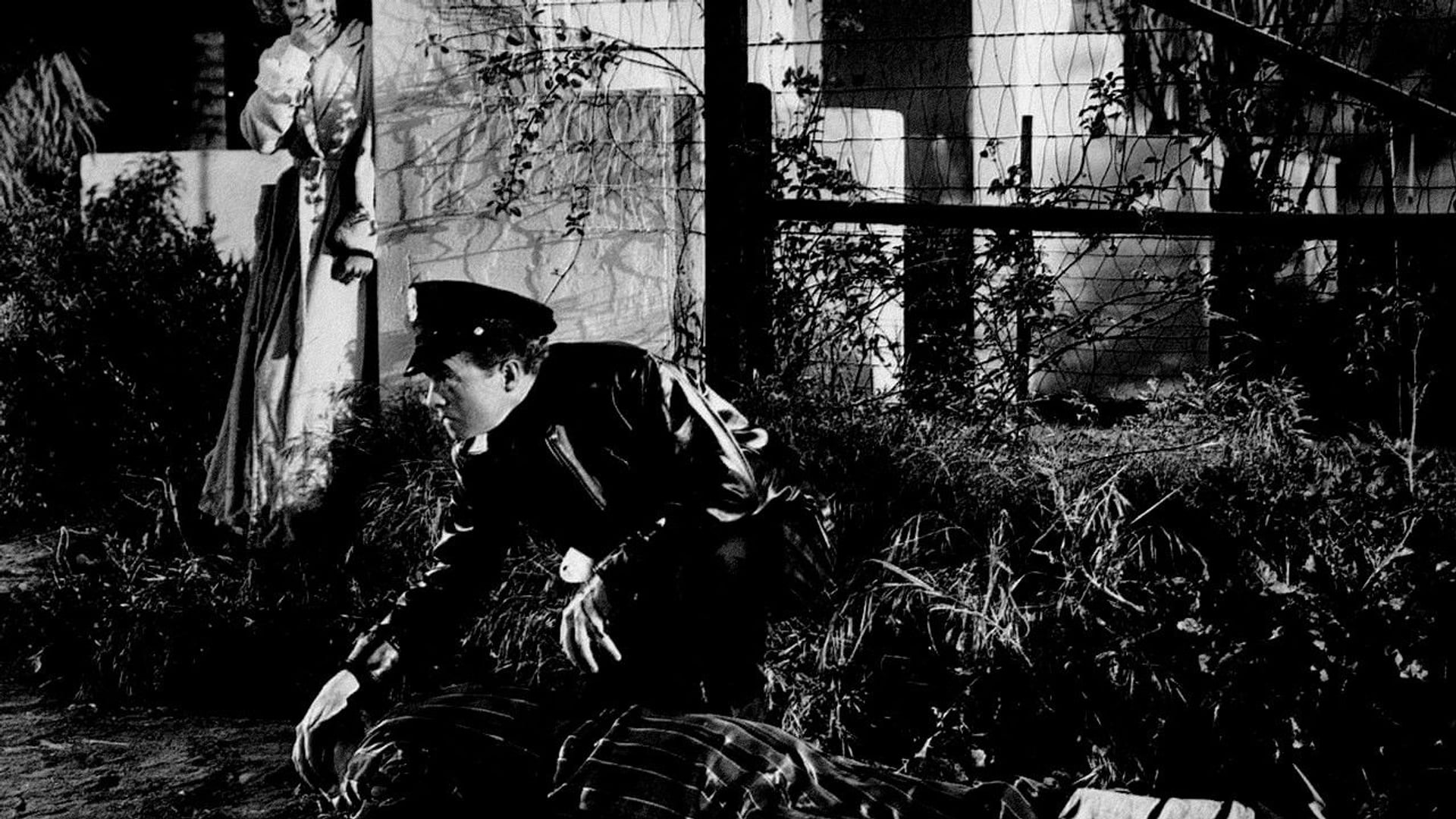 Foto do filme Cúmplice das Sombras