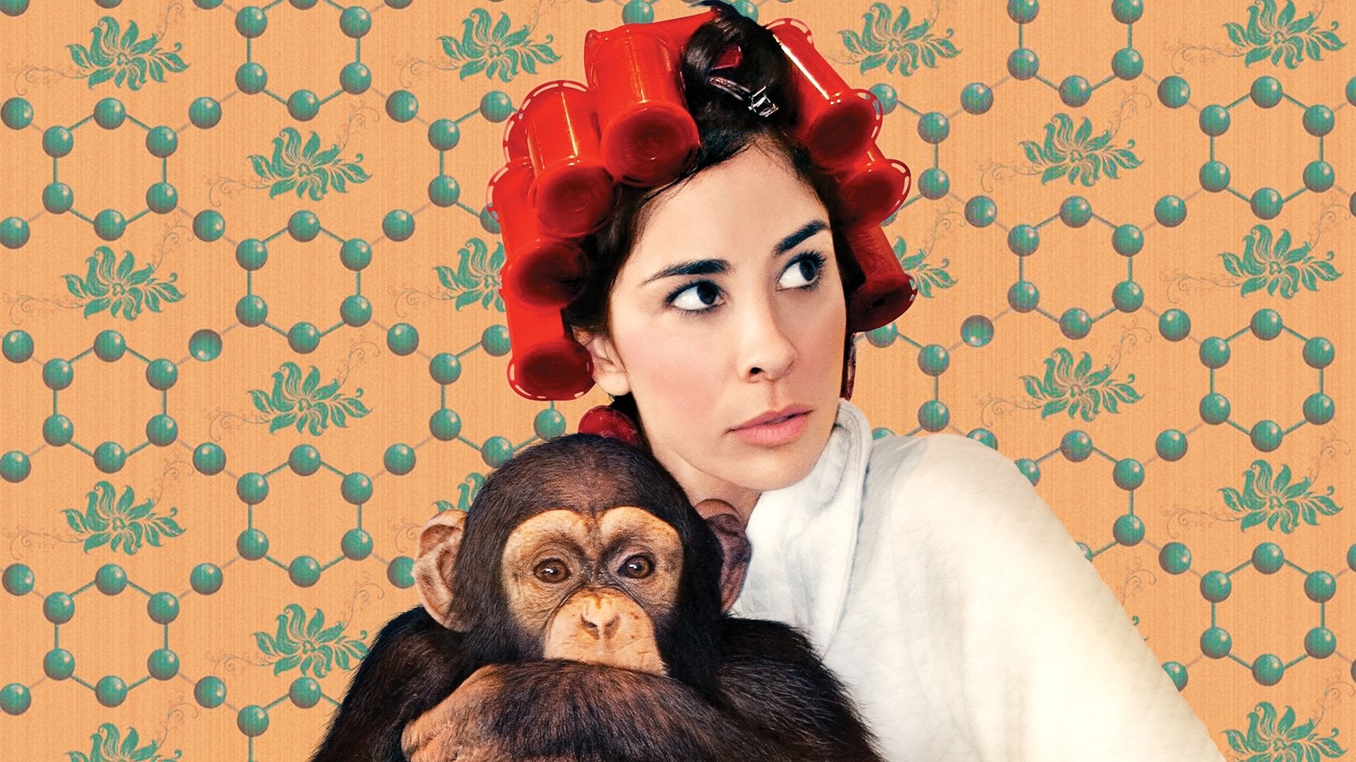 Foto do filme Sarah Silverman: We Are Miracles