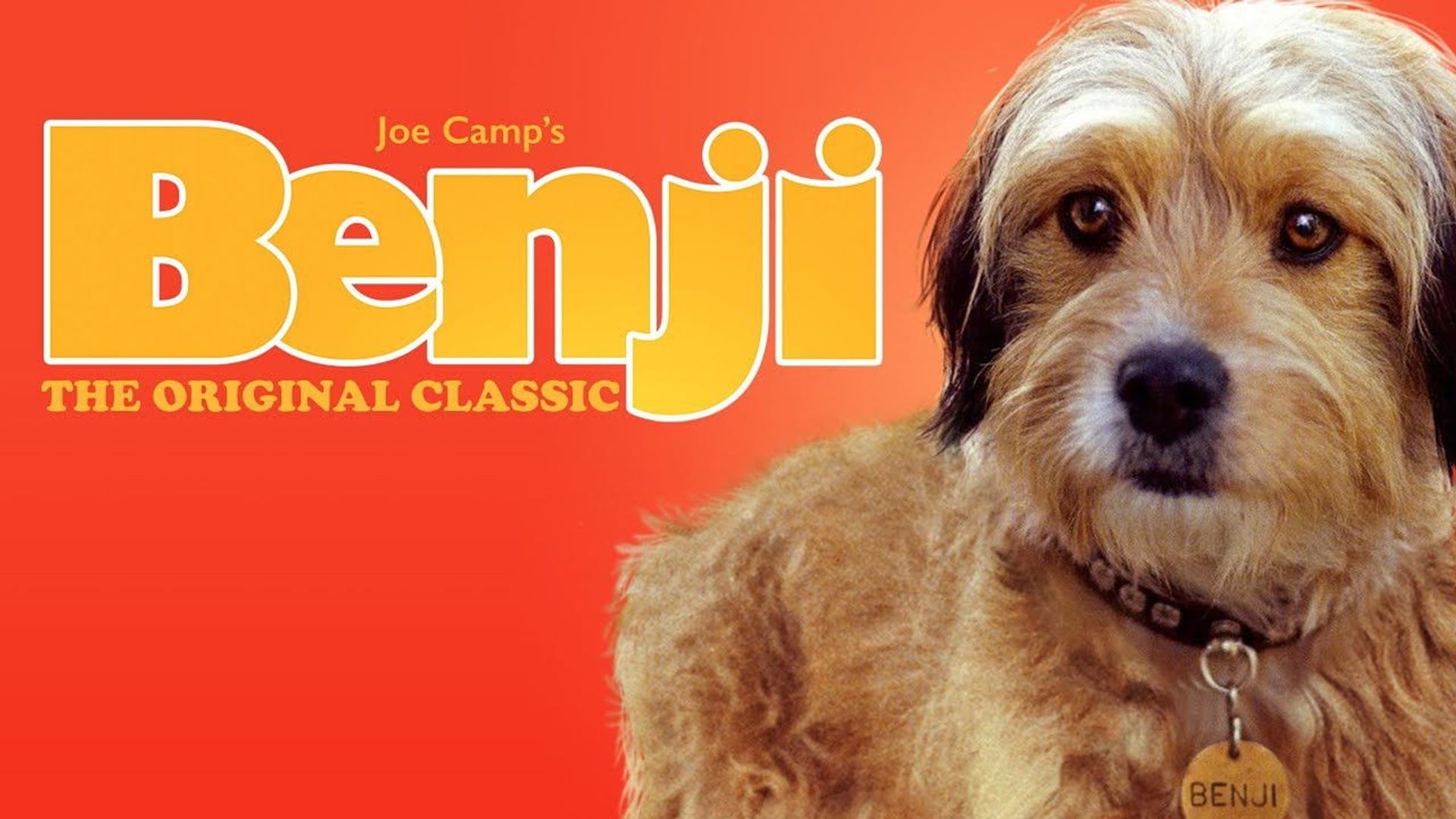 Foto do filme Benji