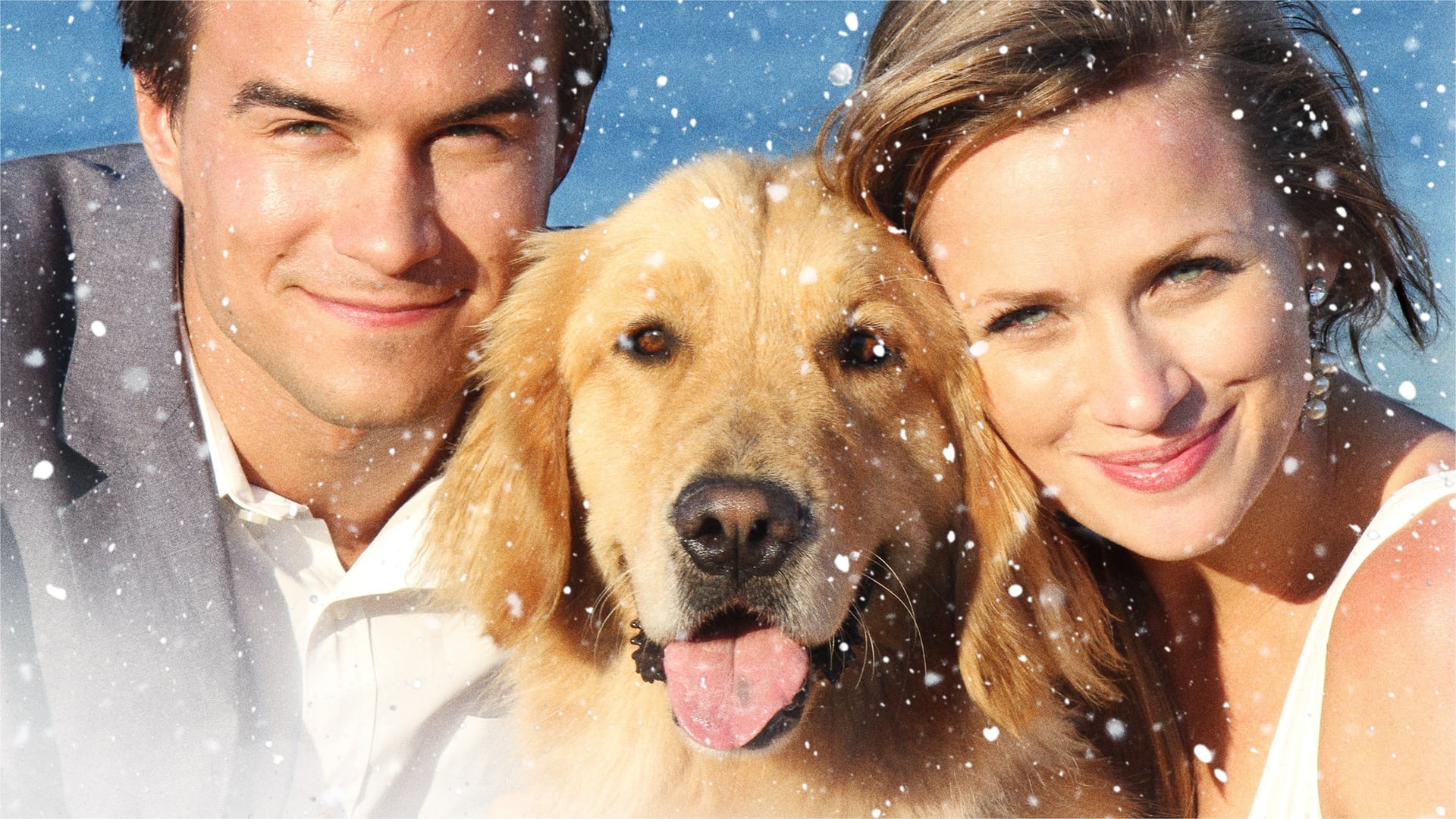 Foto do filme Amor de Natal