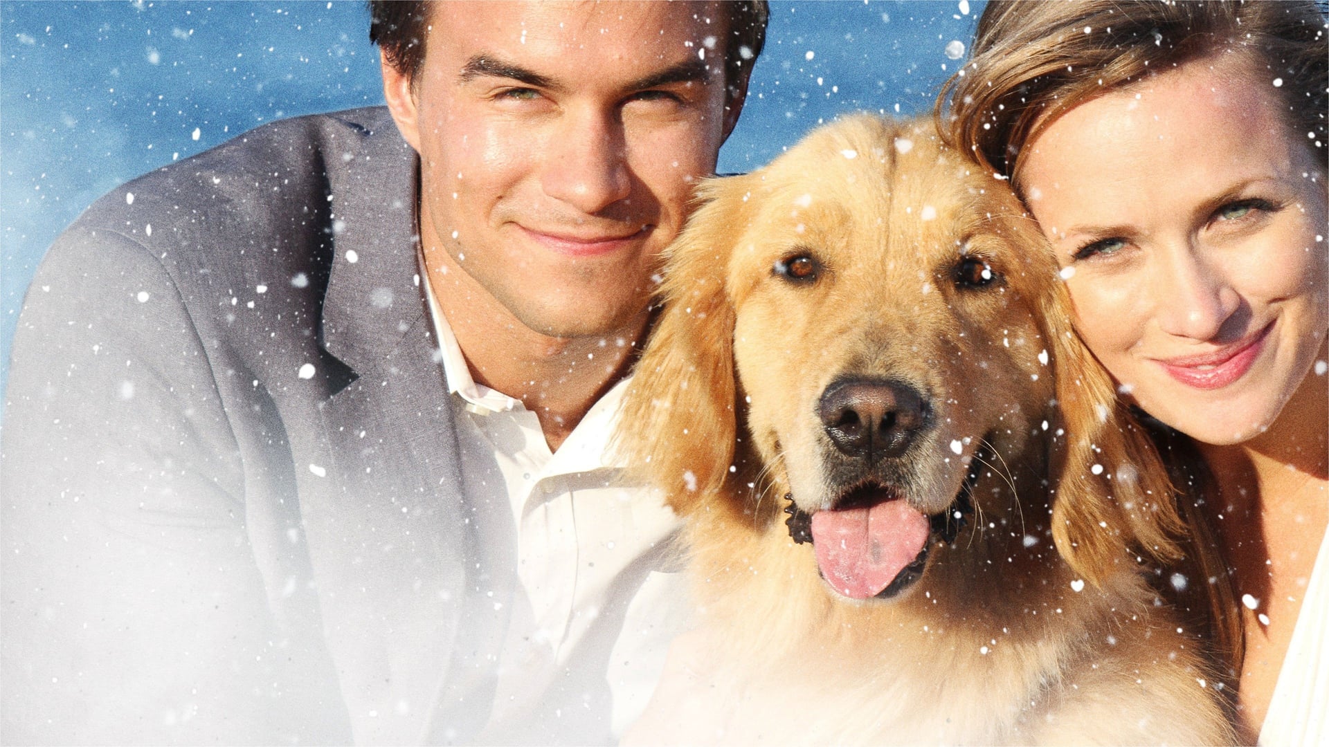 Foto do filme Amor de Natal