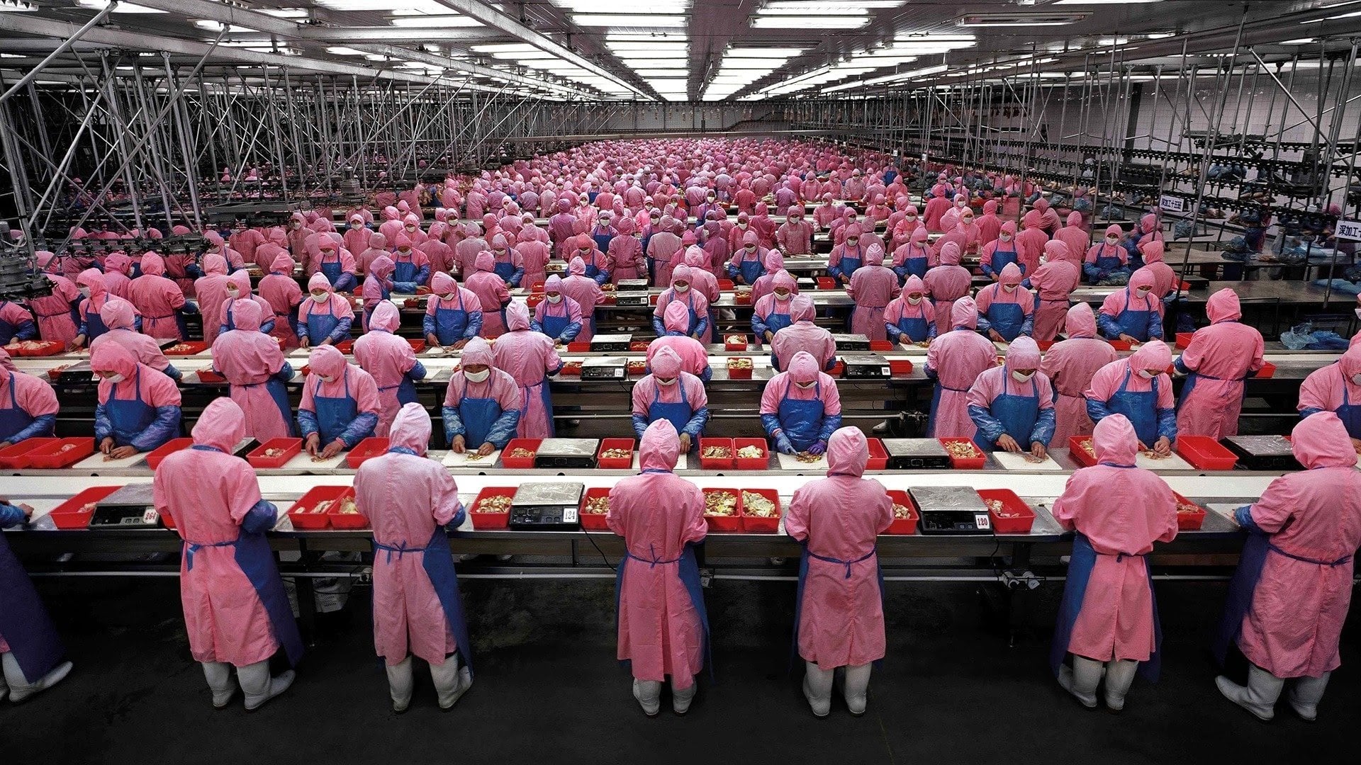 Foto do filme Manufactured Landscapes