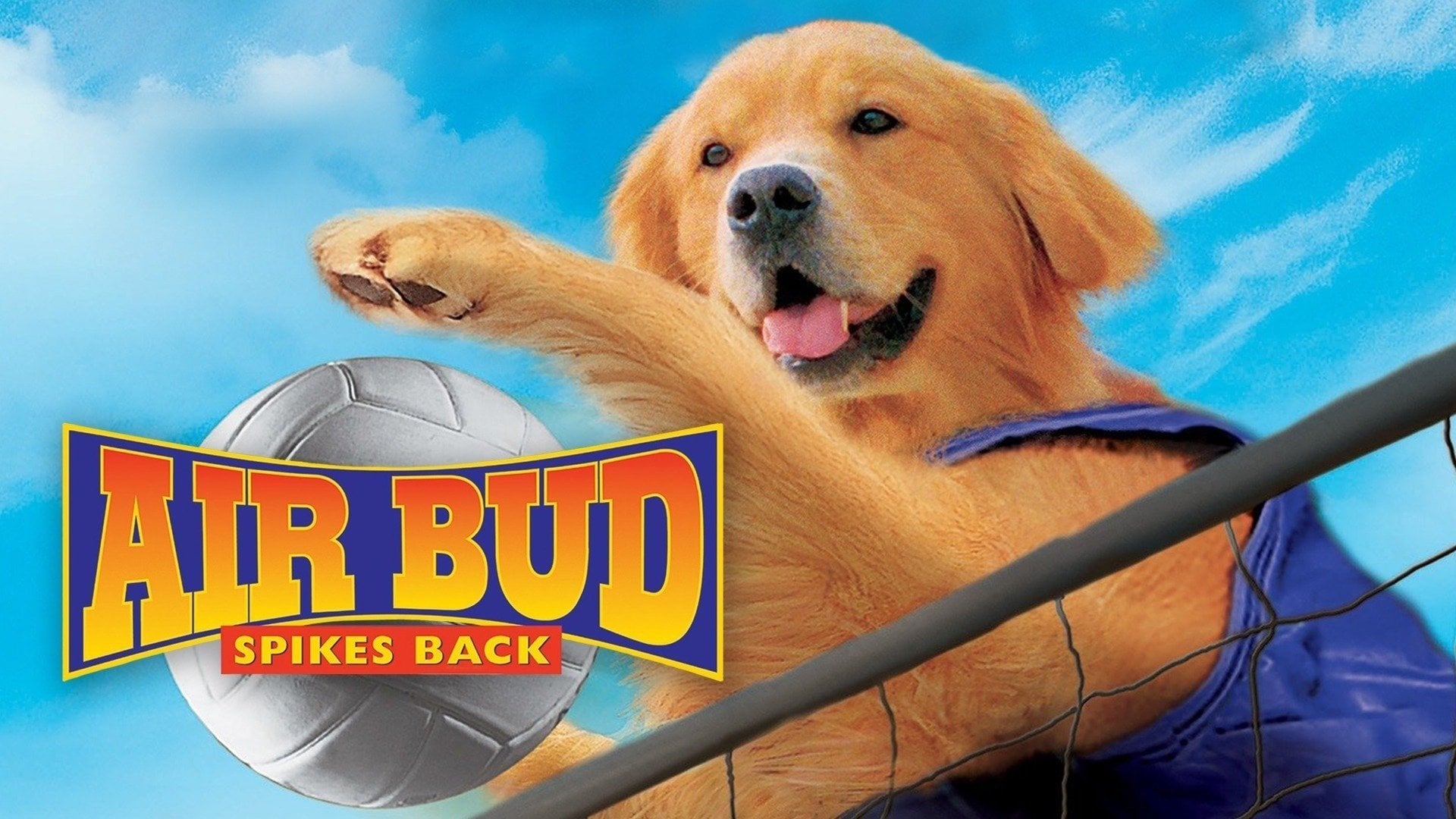 Foto do filme Bud 5: Arrasando no Vôlei!