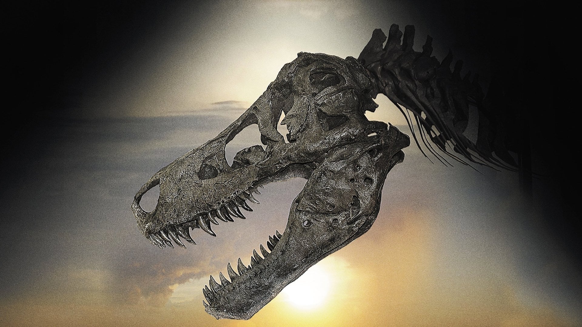 Foto do filme Dinosaur 13