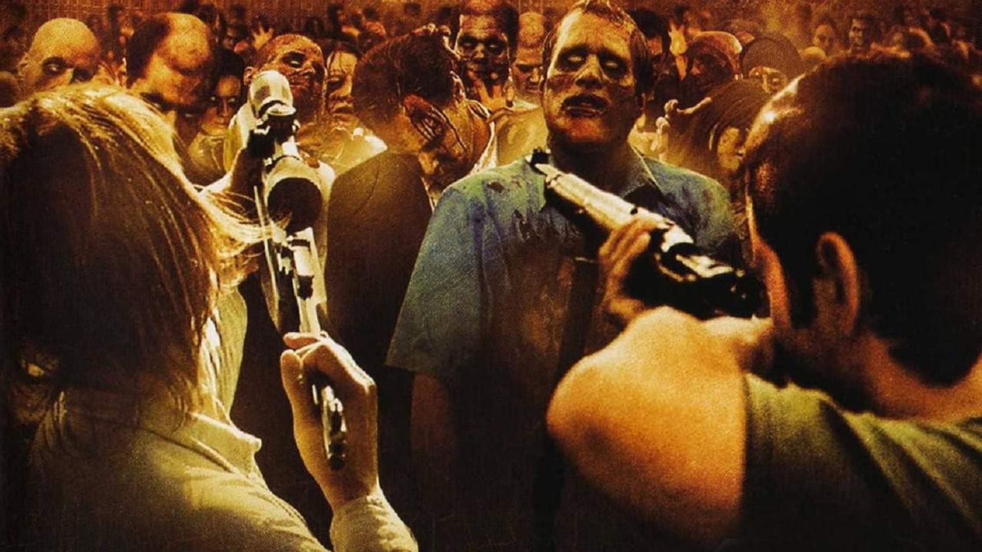 Foto do filme The Zombie Diaries
