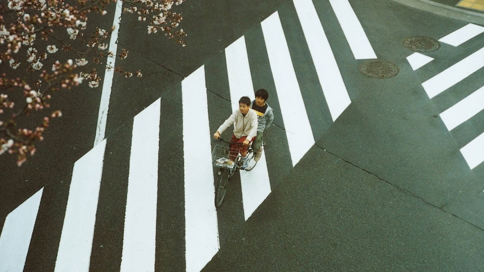 Foto do filme Ninguém Pode Saber