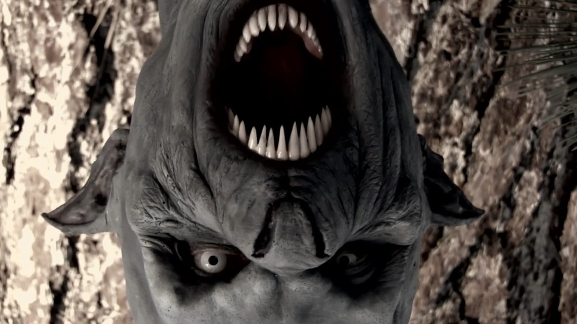 Foto do filme O Vampiro de Black Water