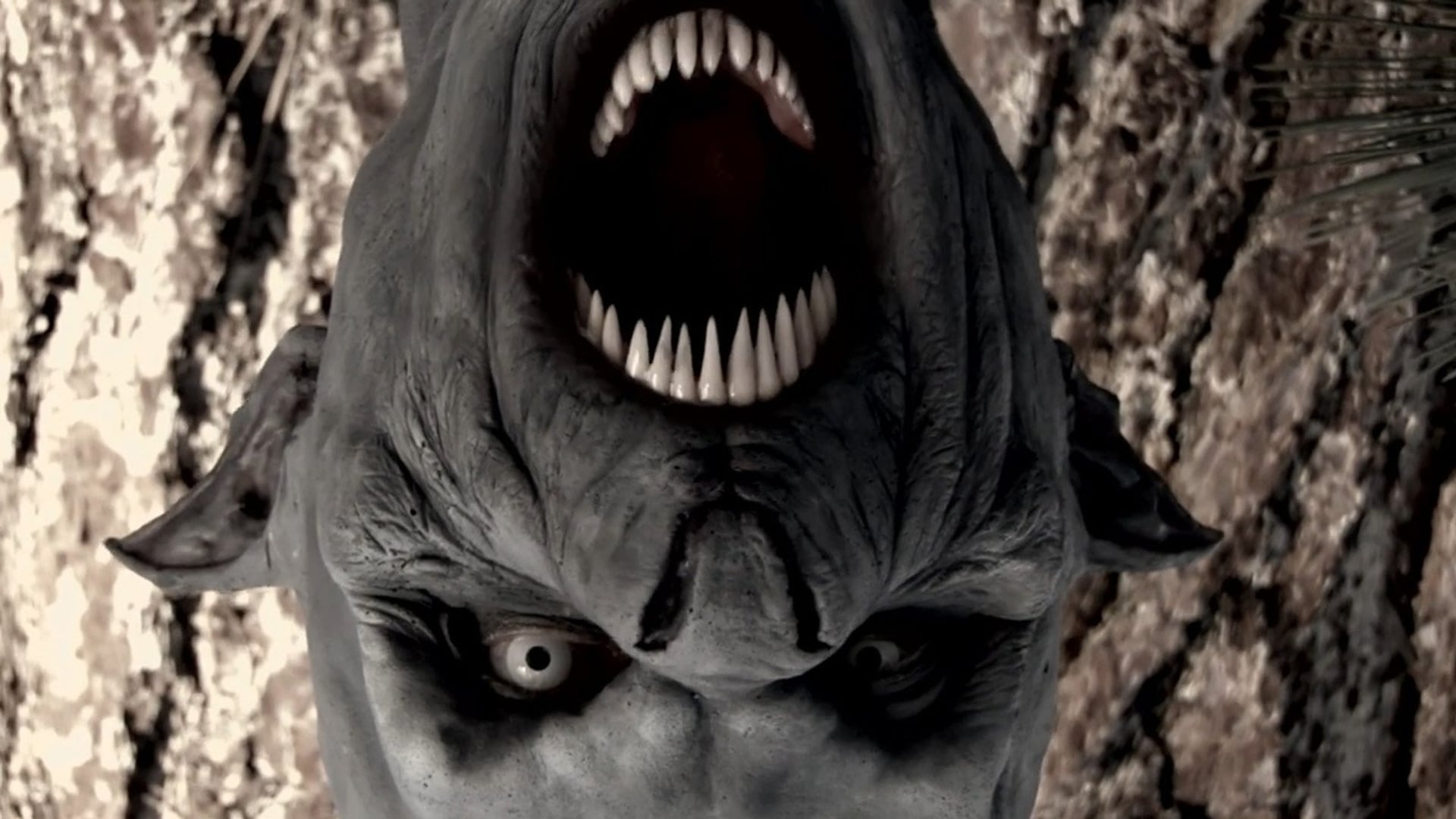 Foto do filme O Vampiro de Black Water