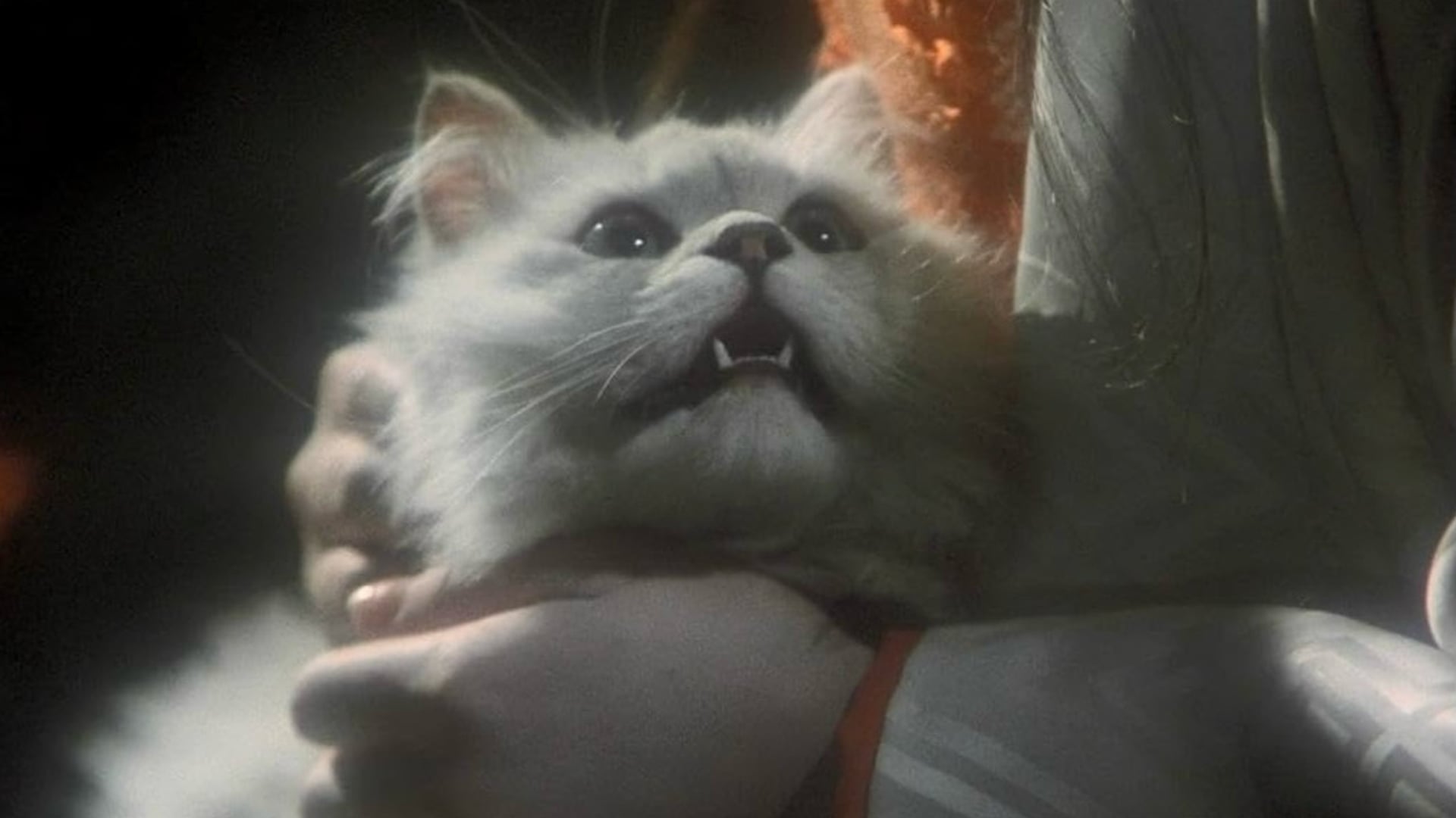 Foto do filme Hausu