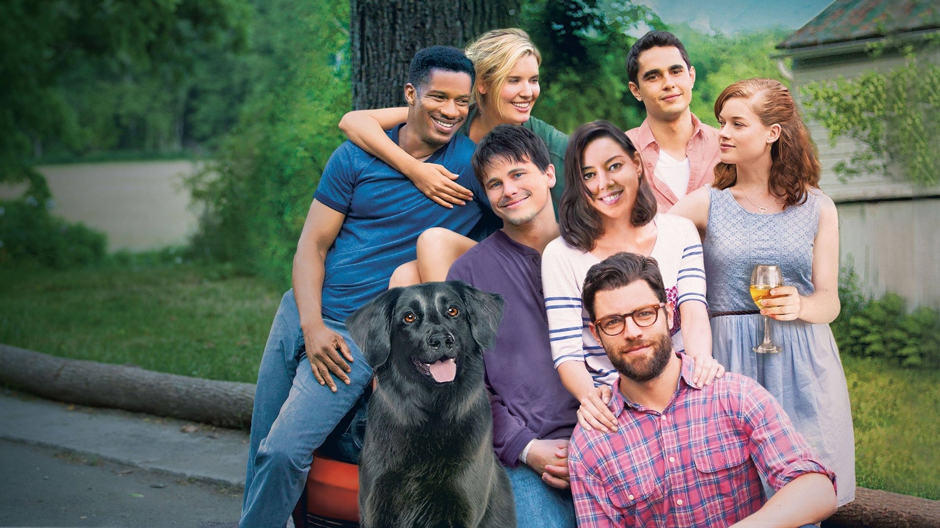 Foto do filme Amigos Para a Vida