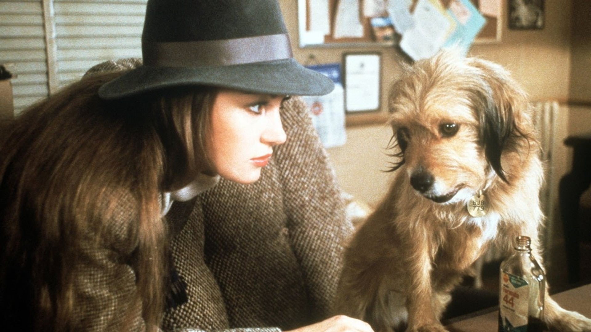 Foto do filme Benji O Cachorro Divino