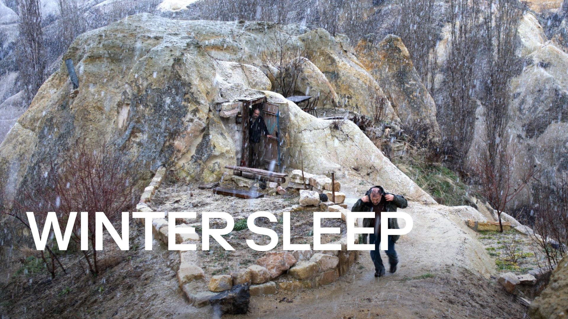 Foto do filme Sono de Inverno
