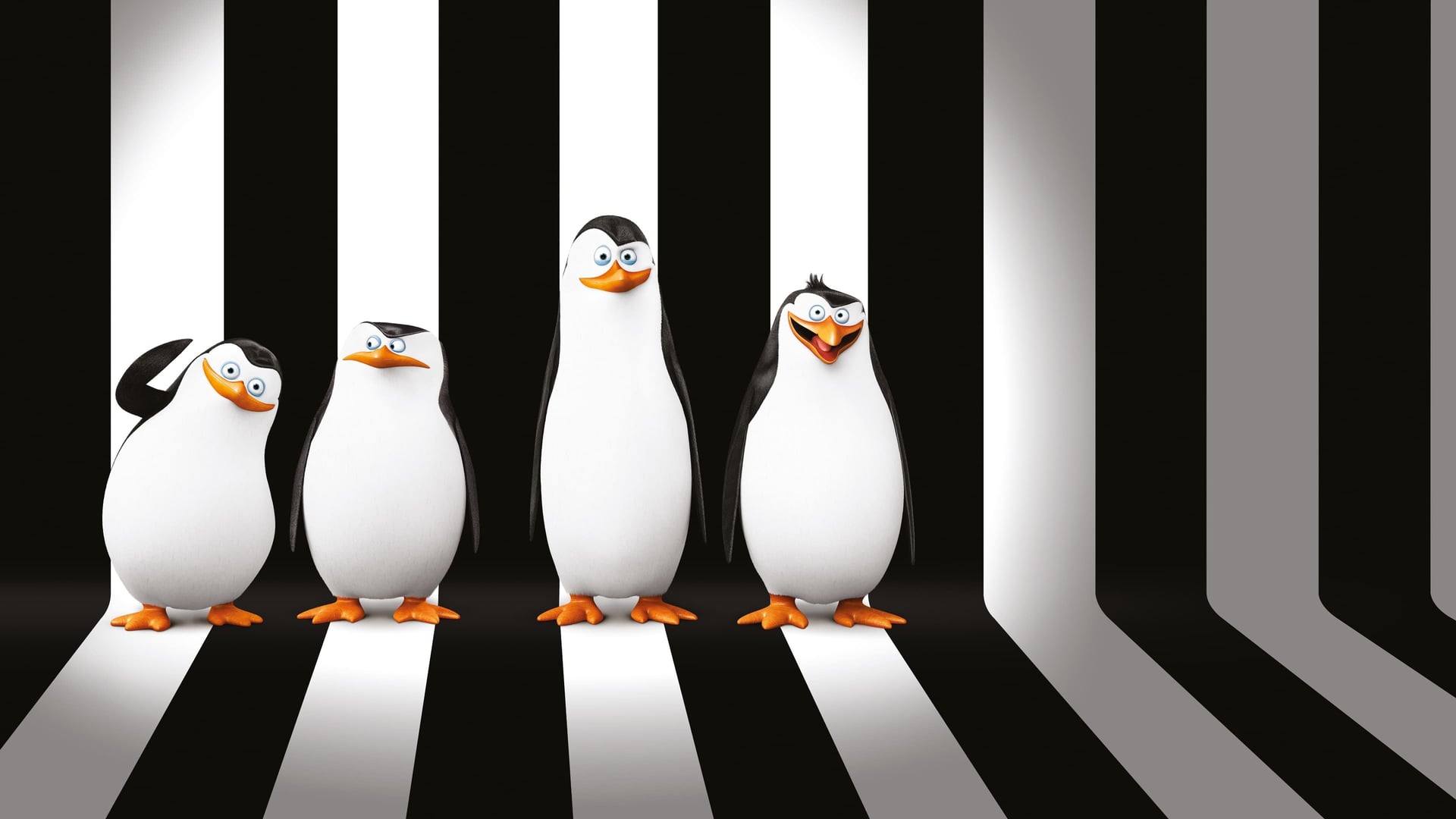 Foto do filme Os Pinguins de Madagascar - O Filme