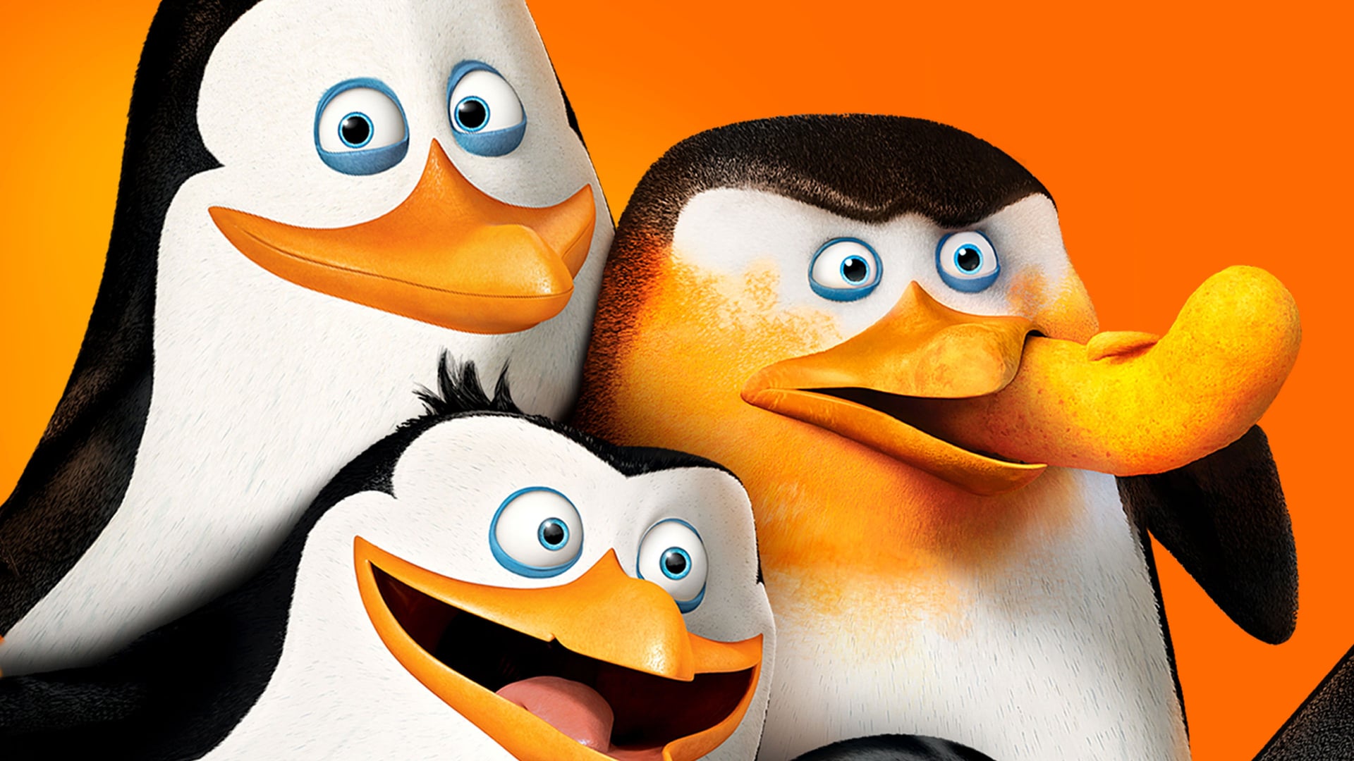 Foto do filme Os Pinguins de Madagascar - O Filme