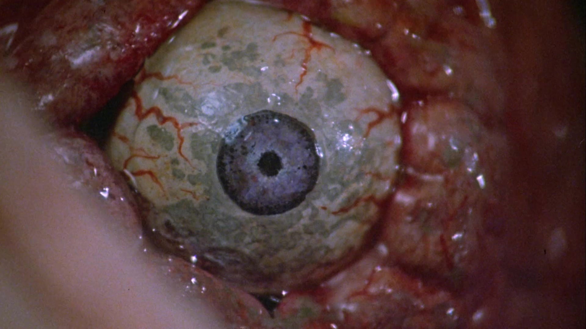 Foto do filme Frankenhooker: Que Pedaço de Mulher