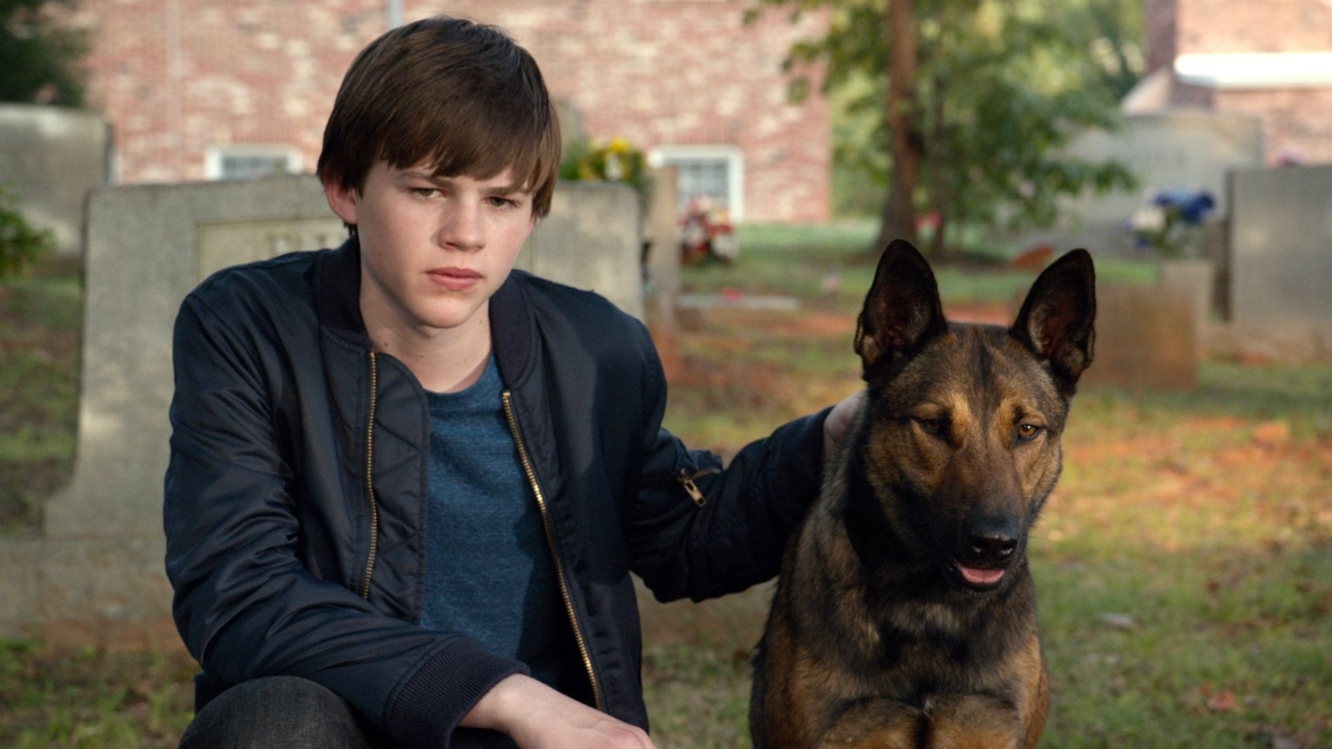 Foto do filme Max: O Cão Herói