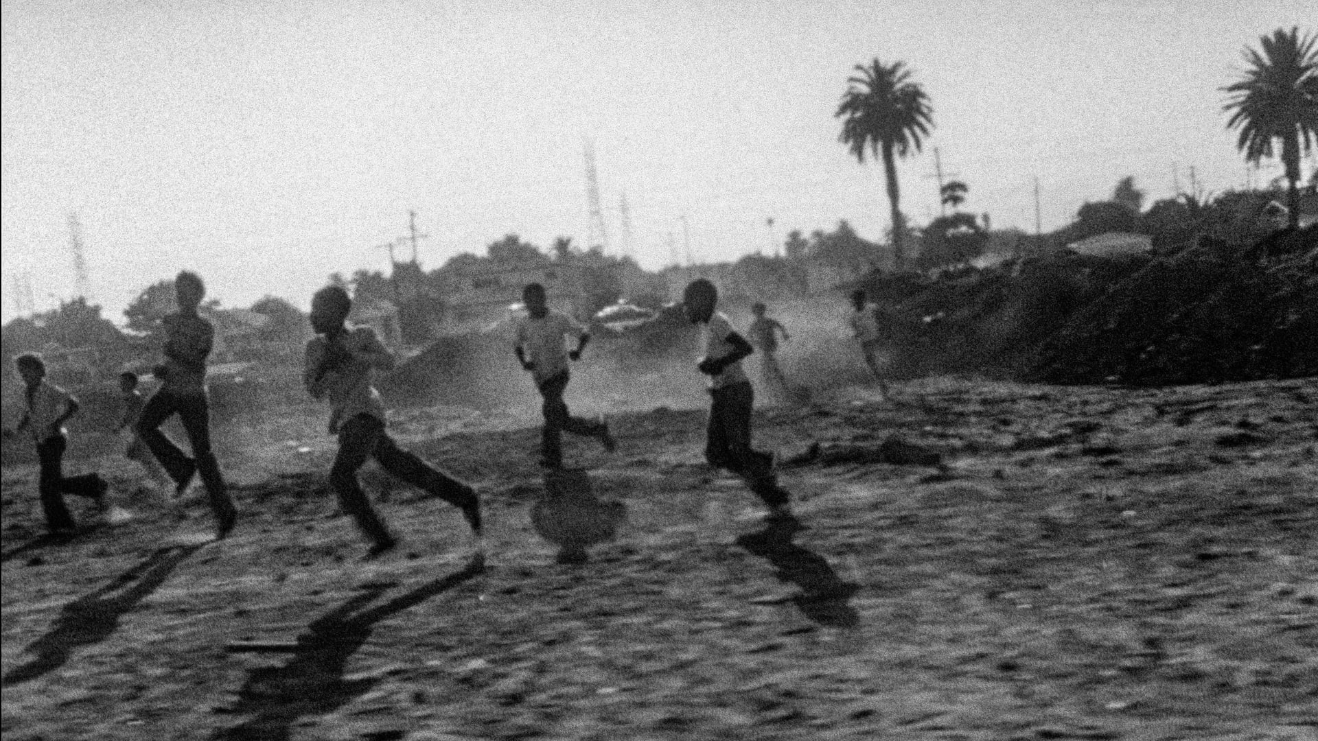Foto do filme O Matador de Ovelhas