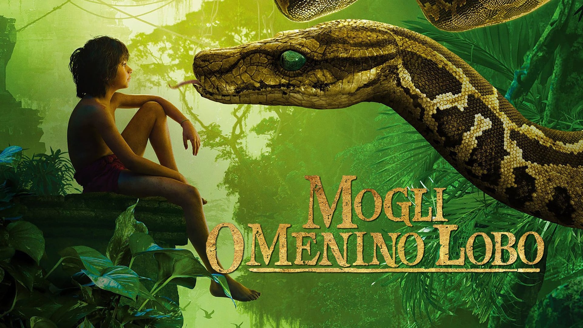 Foto do filme Mogli: O Menino Lobo