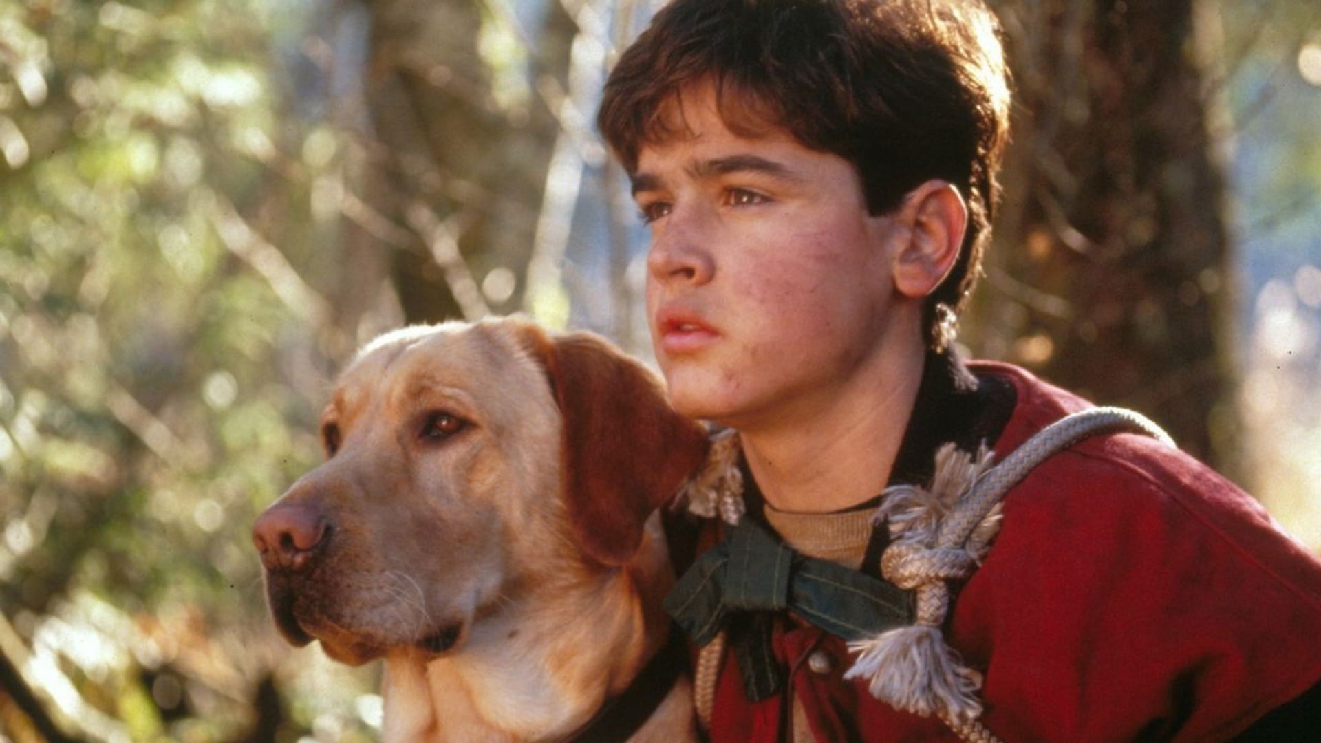 Foto do filme Amigos para Sempre