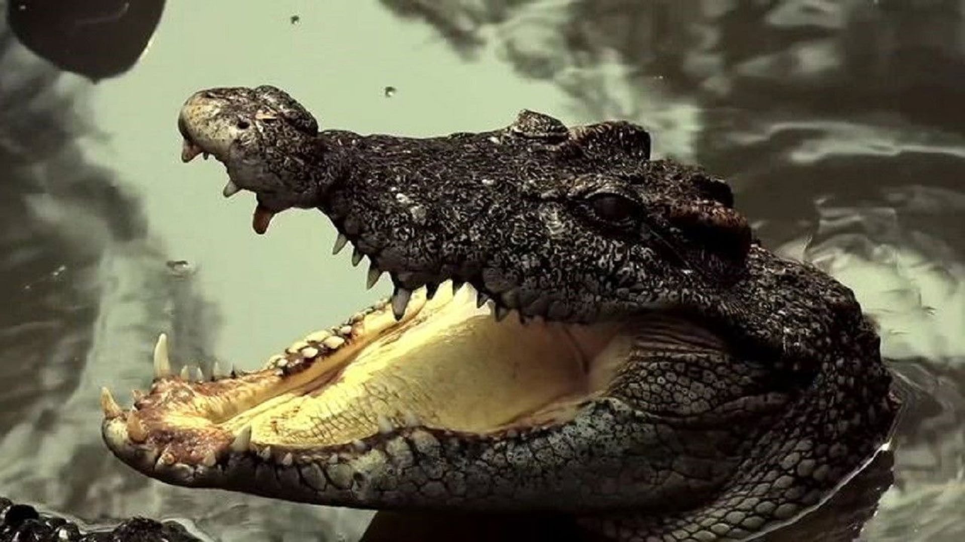 Foto do filme Extinction