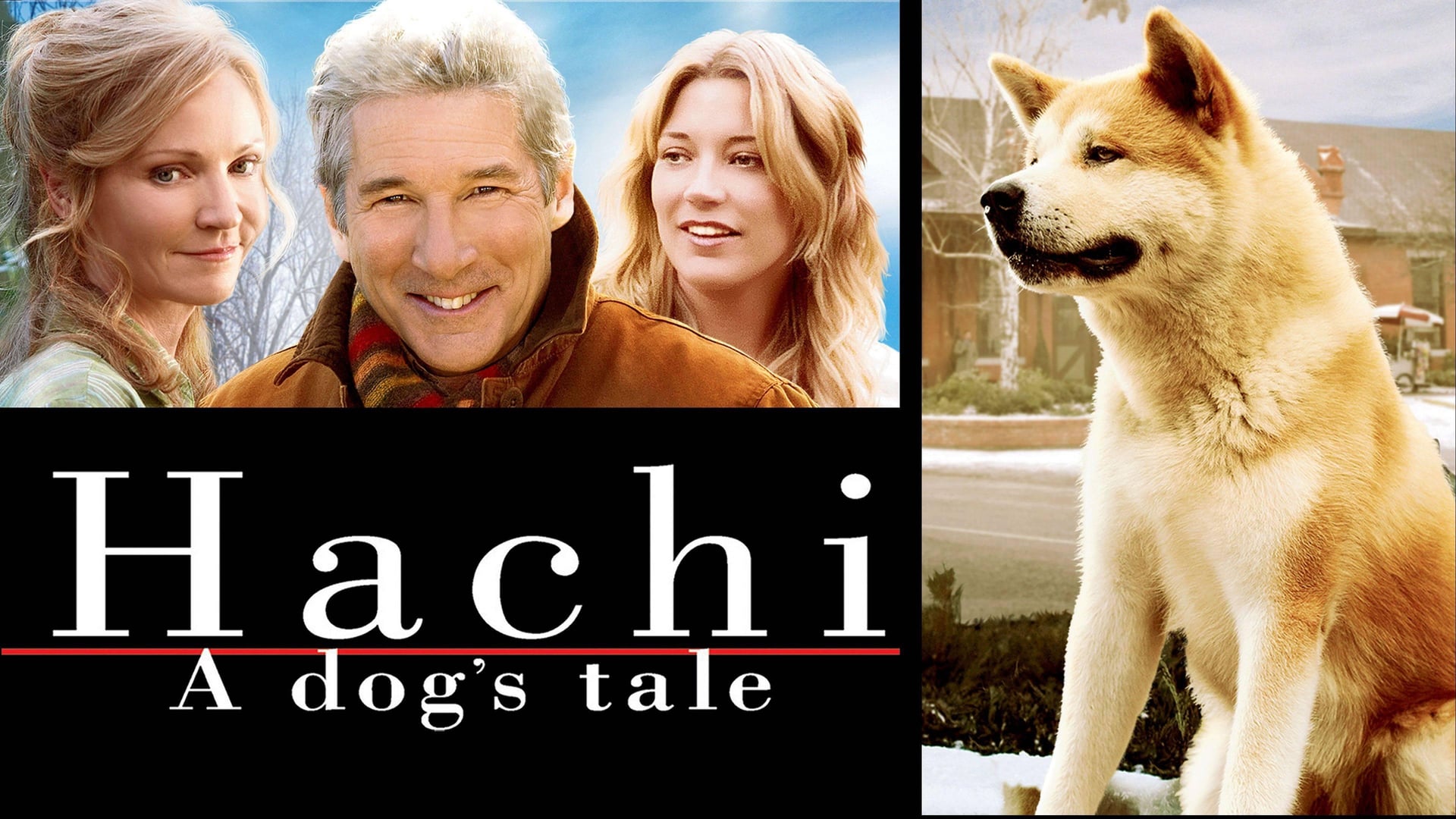 Foto do filme Sempre ao Seu Lado