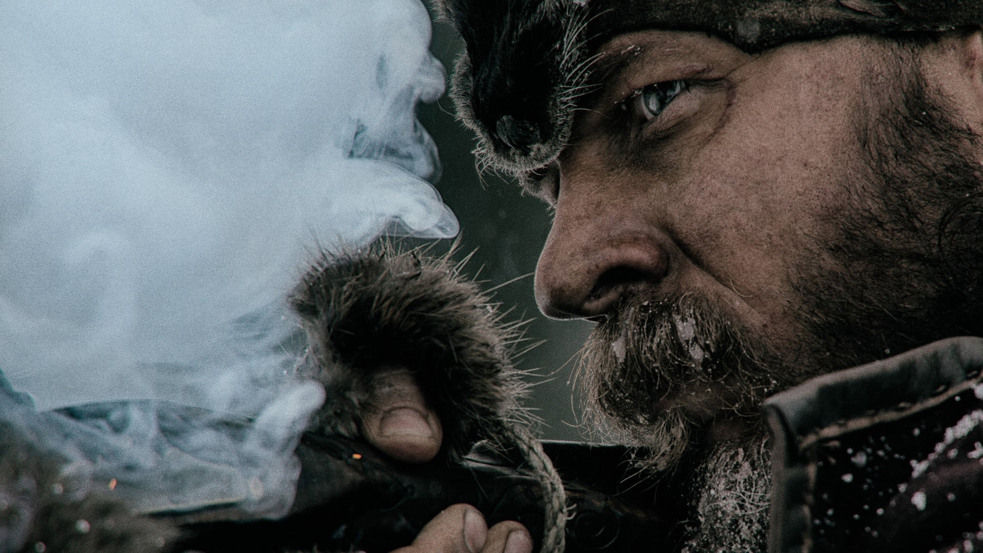 Foto do filme O Regresso