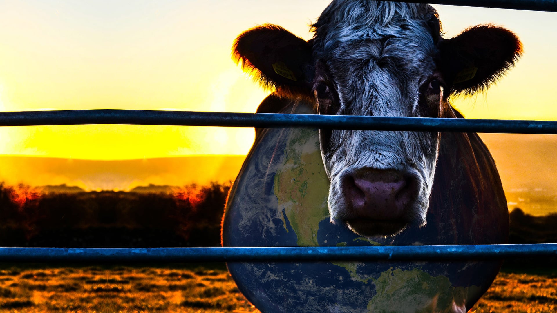 Foto do filme A Conspiração da Vaca: O Segredo da Sustentabilidade