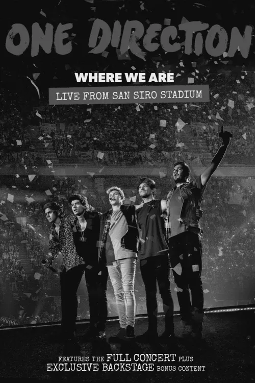 One Direction: Where We Are - The Concert Film