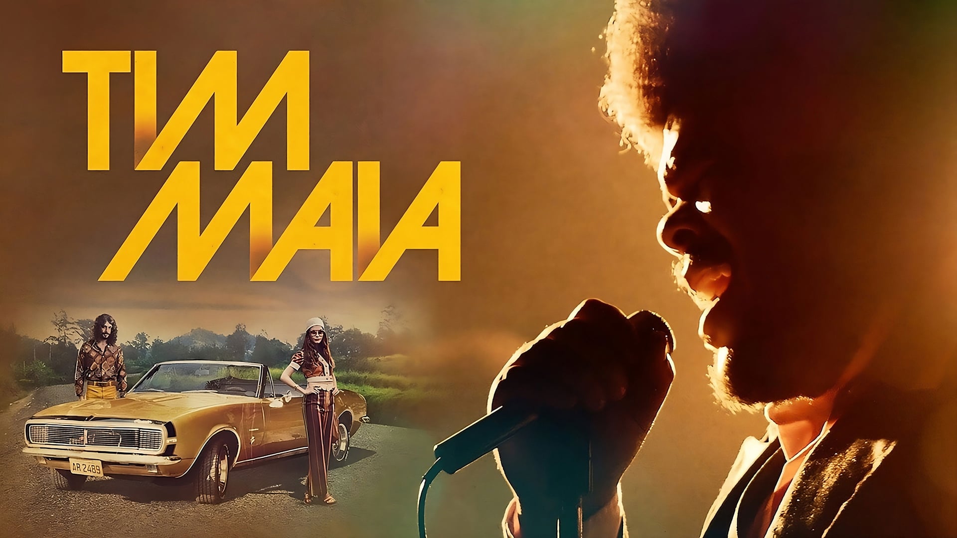 Foto do filme Tim Maia