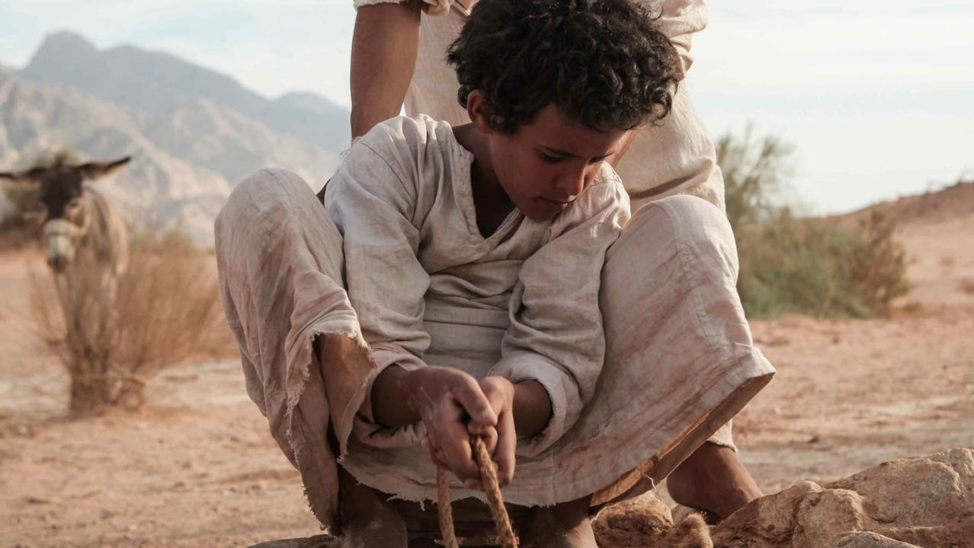 Foto do filme Lobo do Deserto