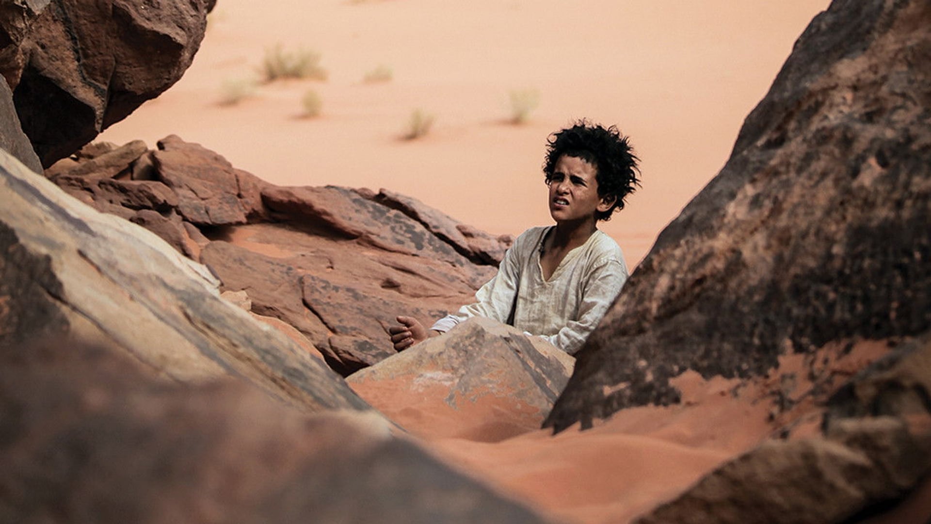 Foto do filme Lobo do Deserto