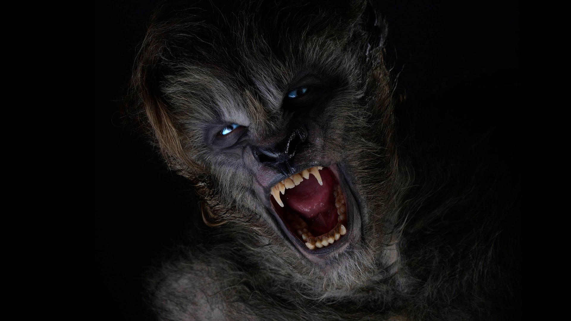 Foto do filme Lobos