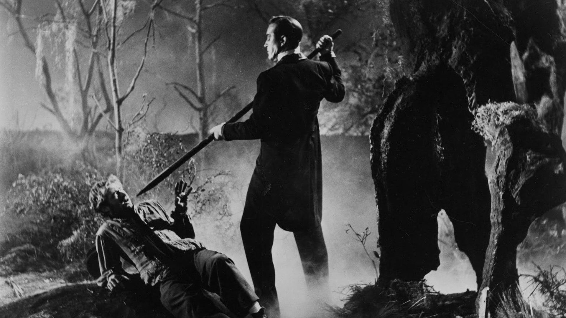 Foto do filme Obsessão Macabra