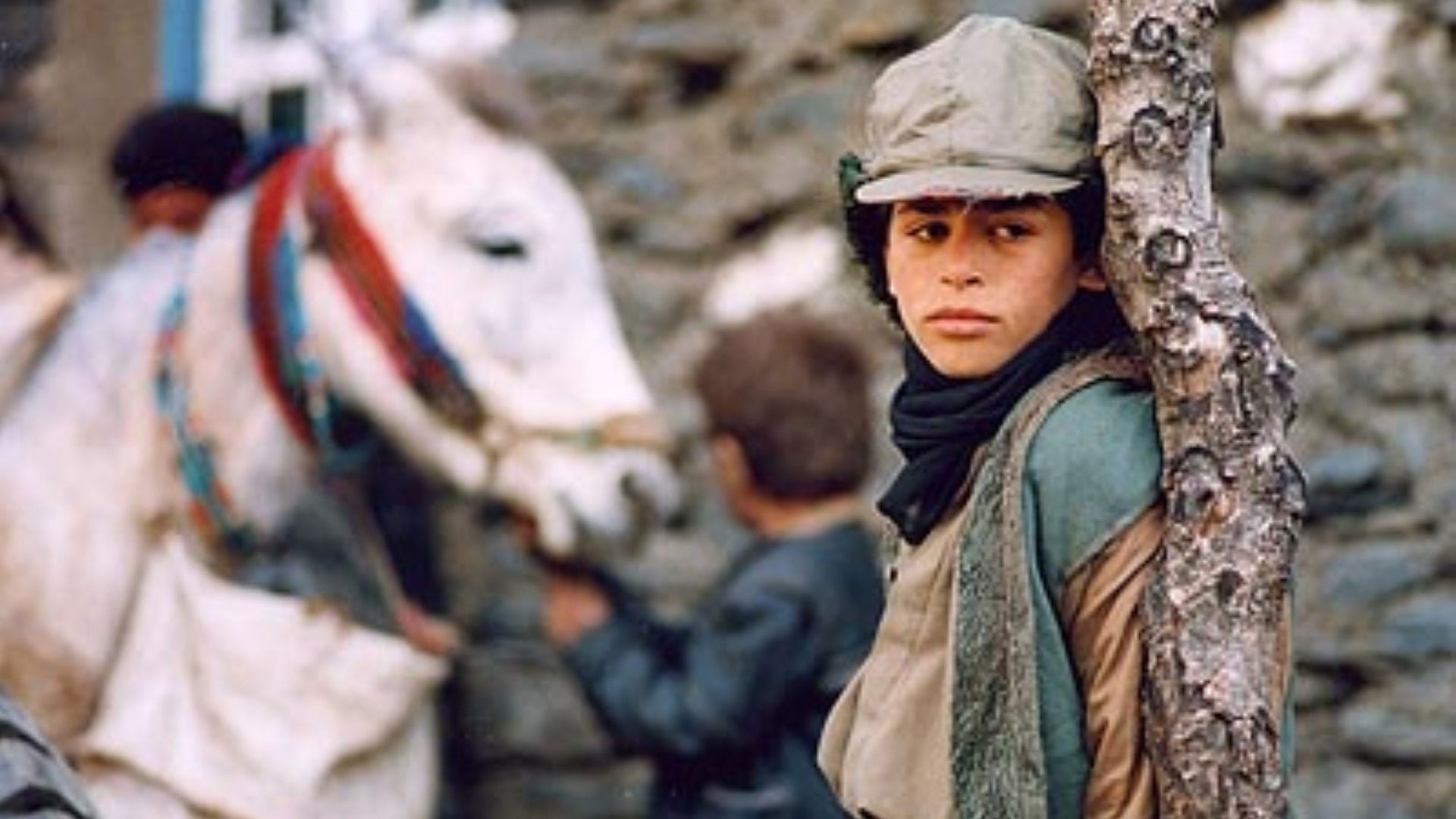 Foto do filme Tempo de Cavalos Bêbados