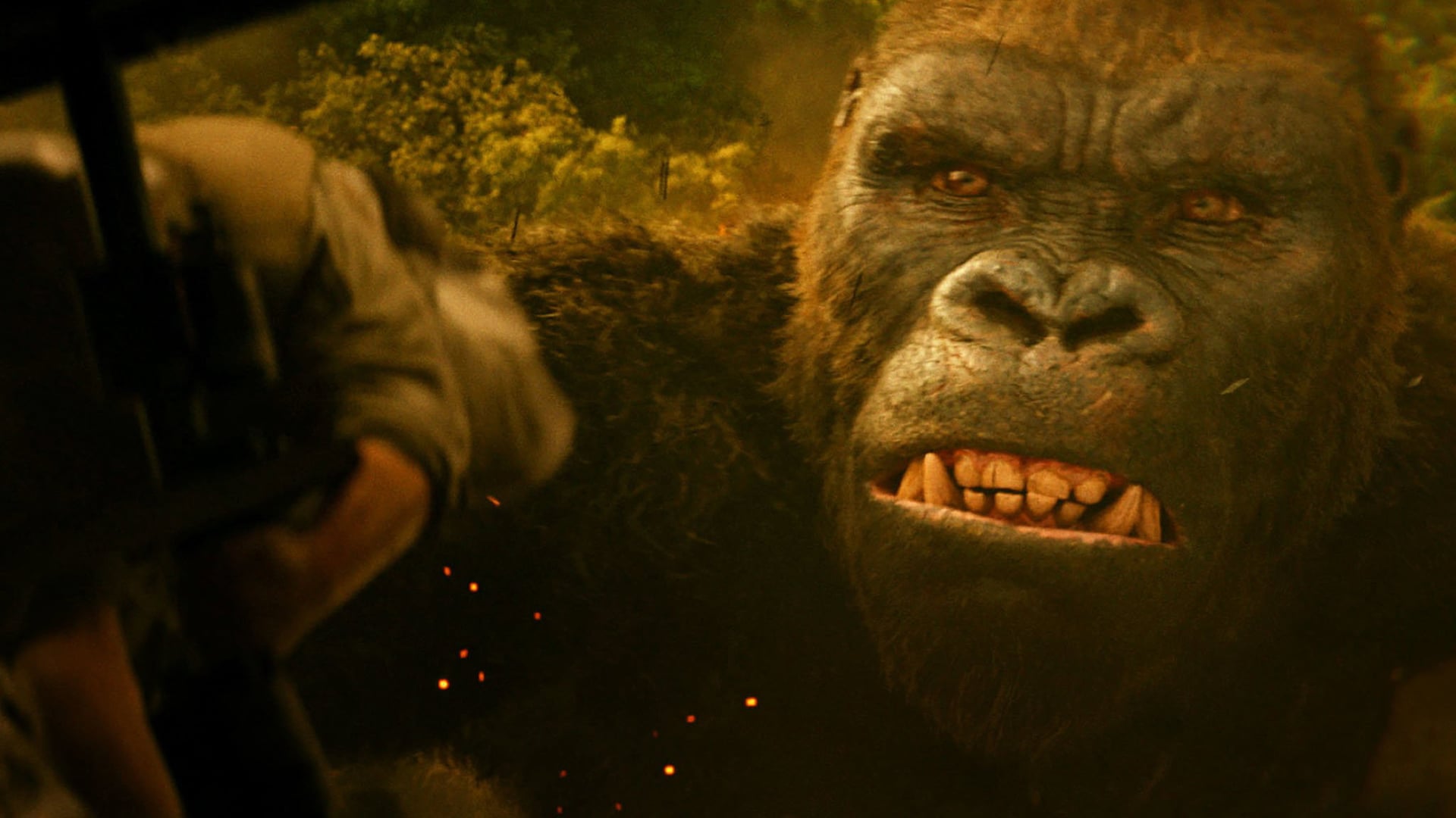 Foto do filme Kong: A Ilha da Caveira