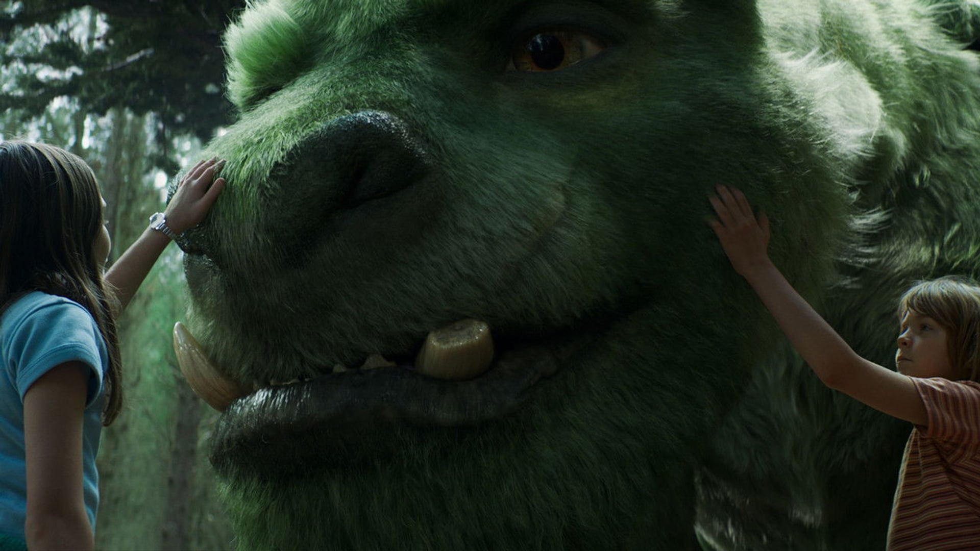 Foto do filme Meu Amigo, O Dragão