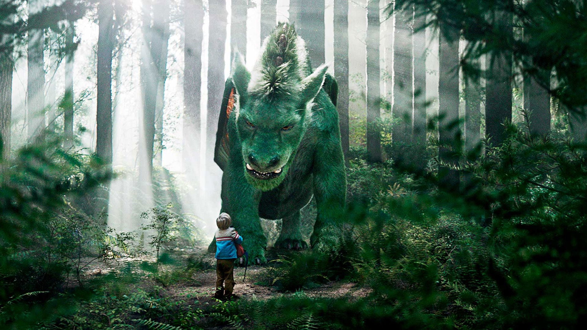 Foto do filme Meu Amigo, O Dragão